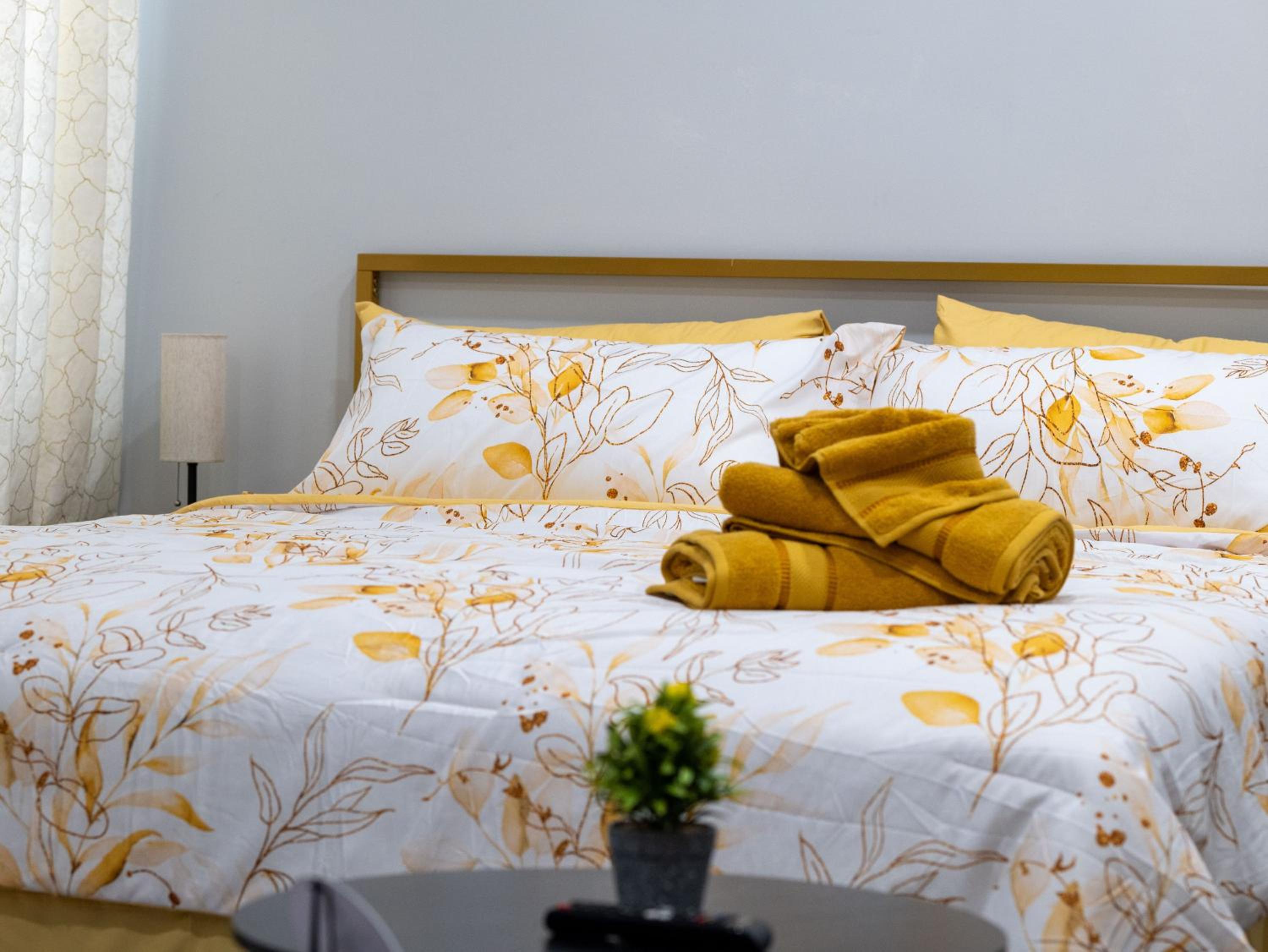 Studio with Sofa Bed photo 1