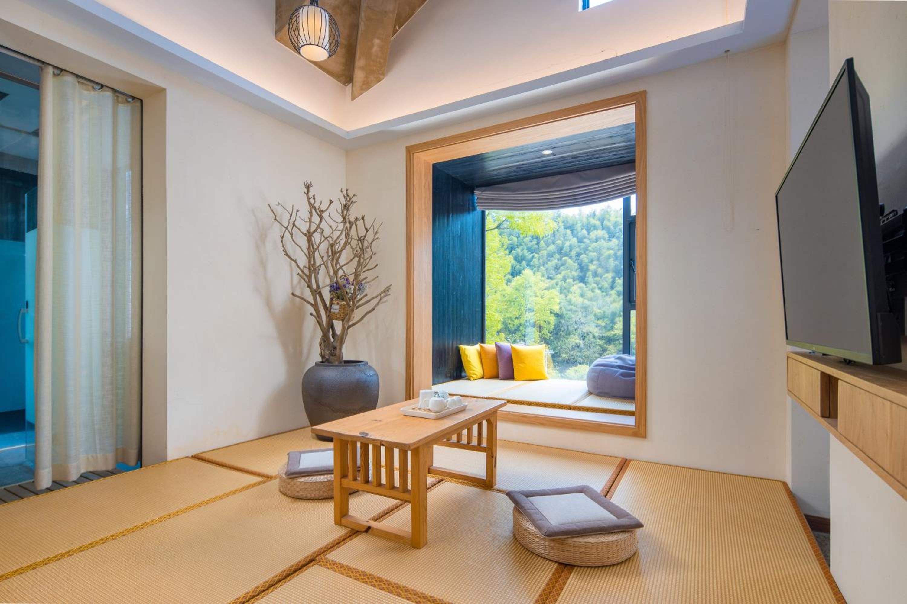 Duplex Suite