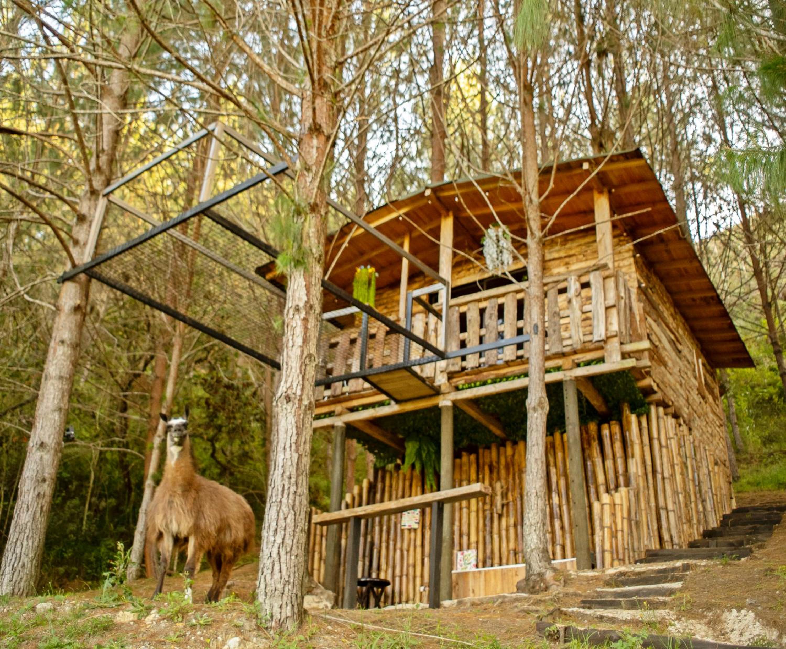 Superior Chalet photo 2