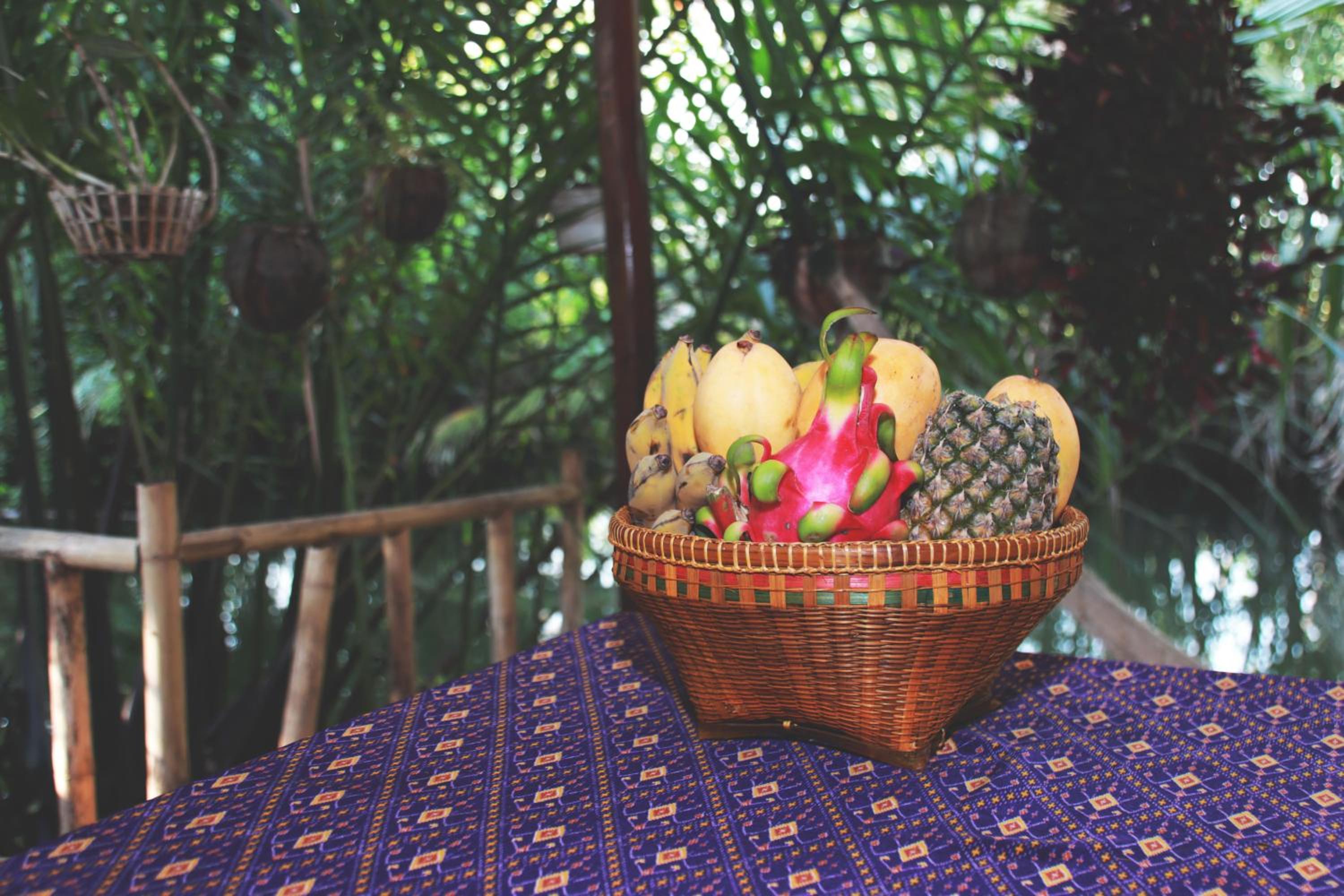 Family Bungalow - Photo 8