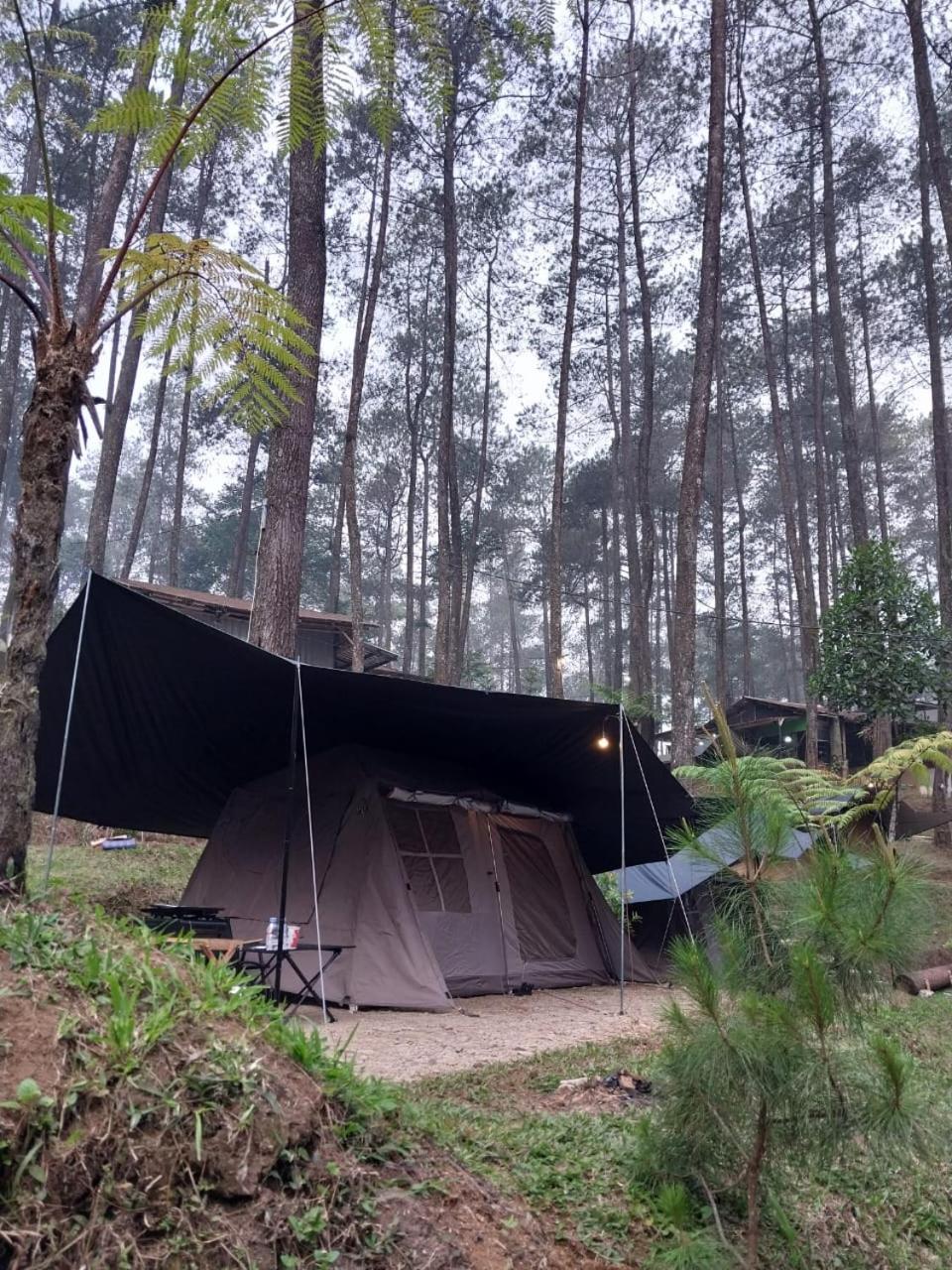 Tent photo 3