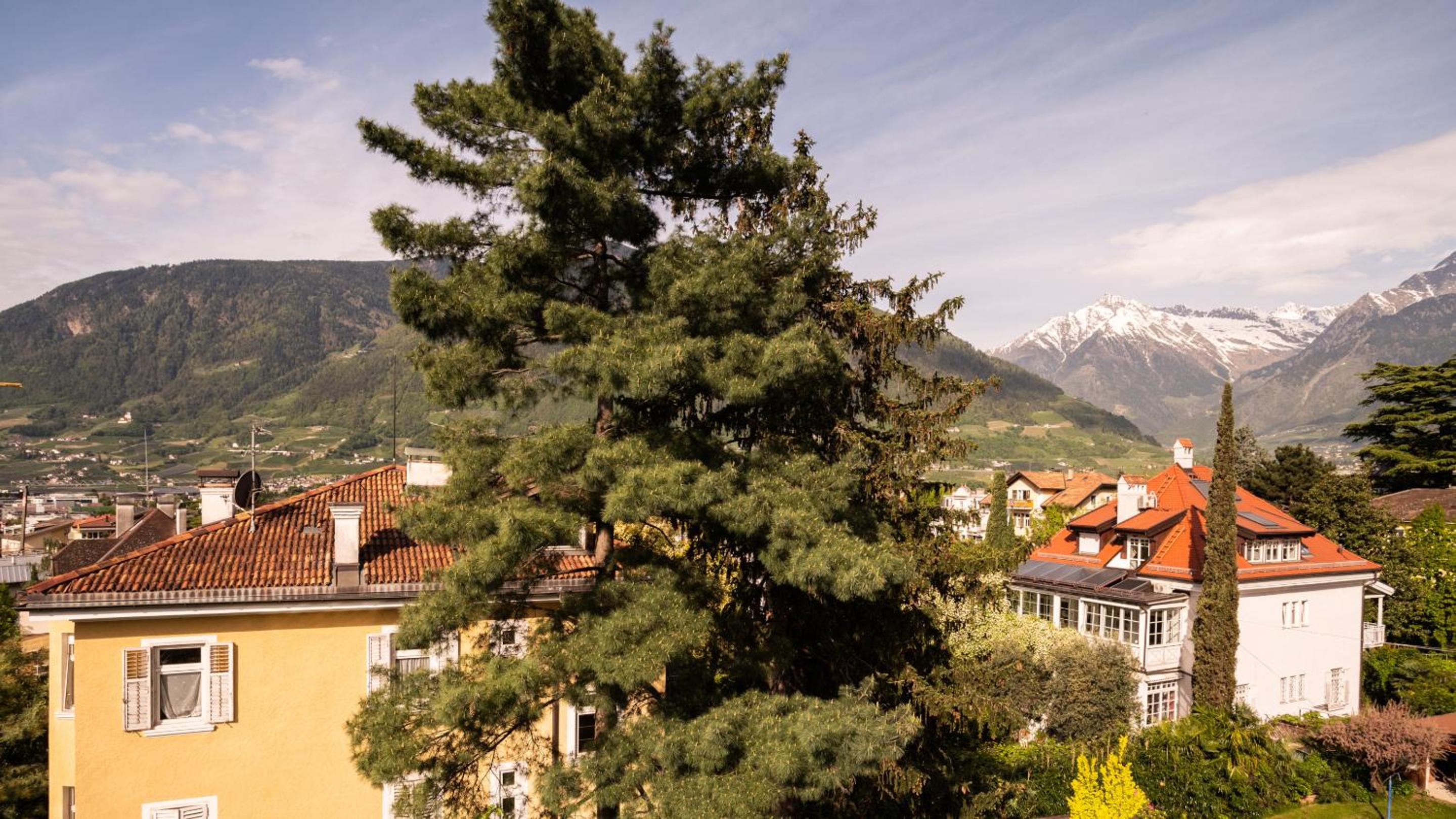 Standard Double Room with Balcony - Flair - Photo 9