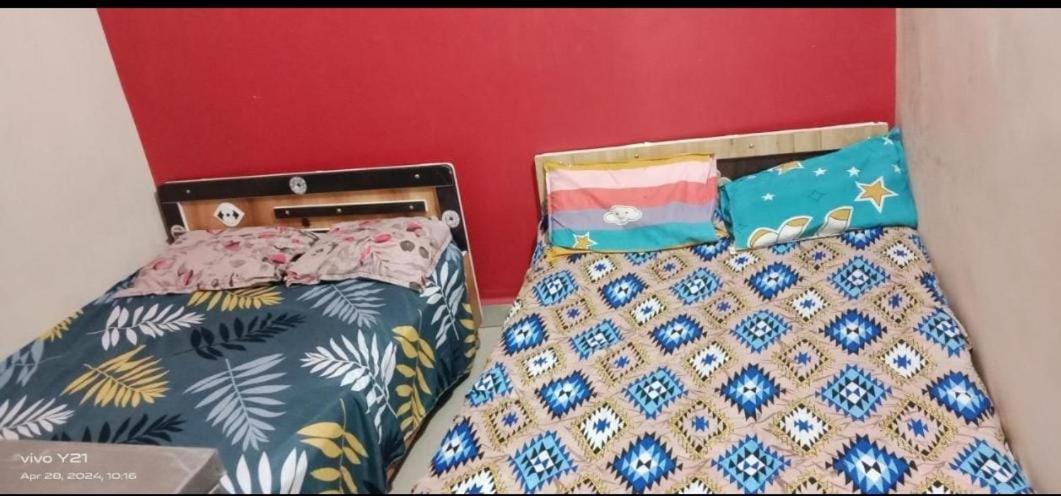 One-Bedroom House photo 1