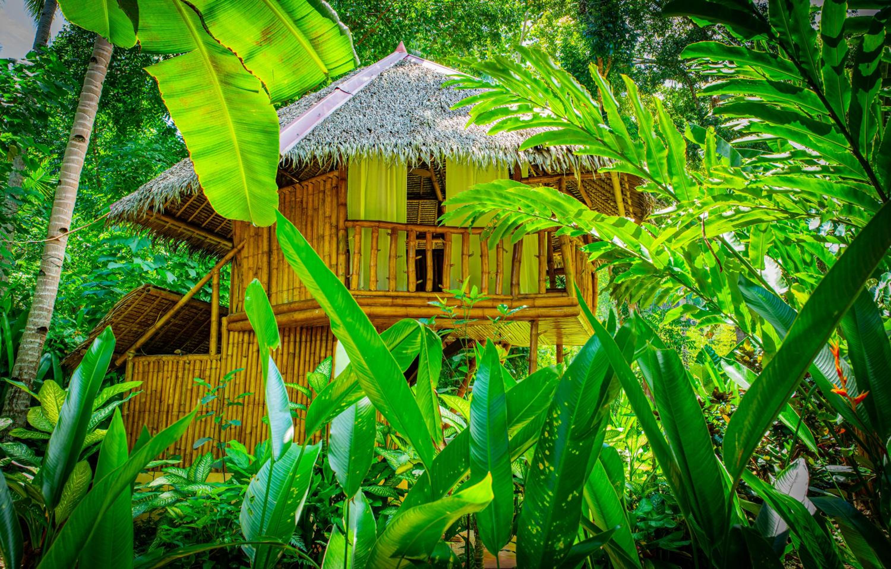 Tree house with private bathroom - Photo 3