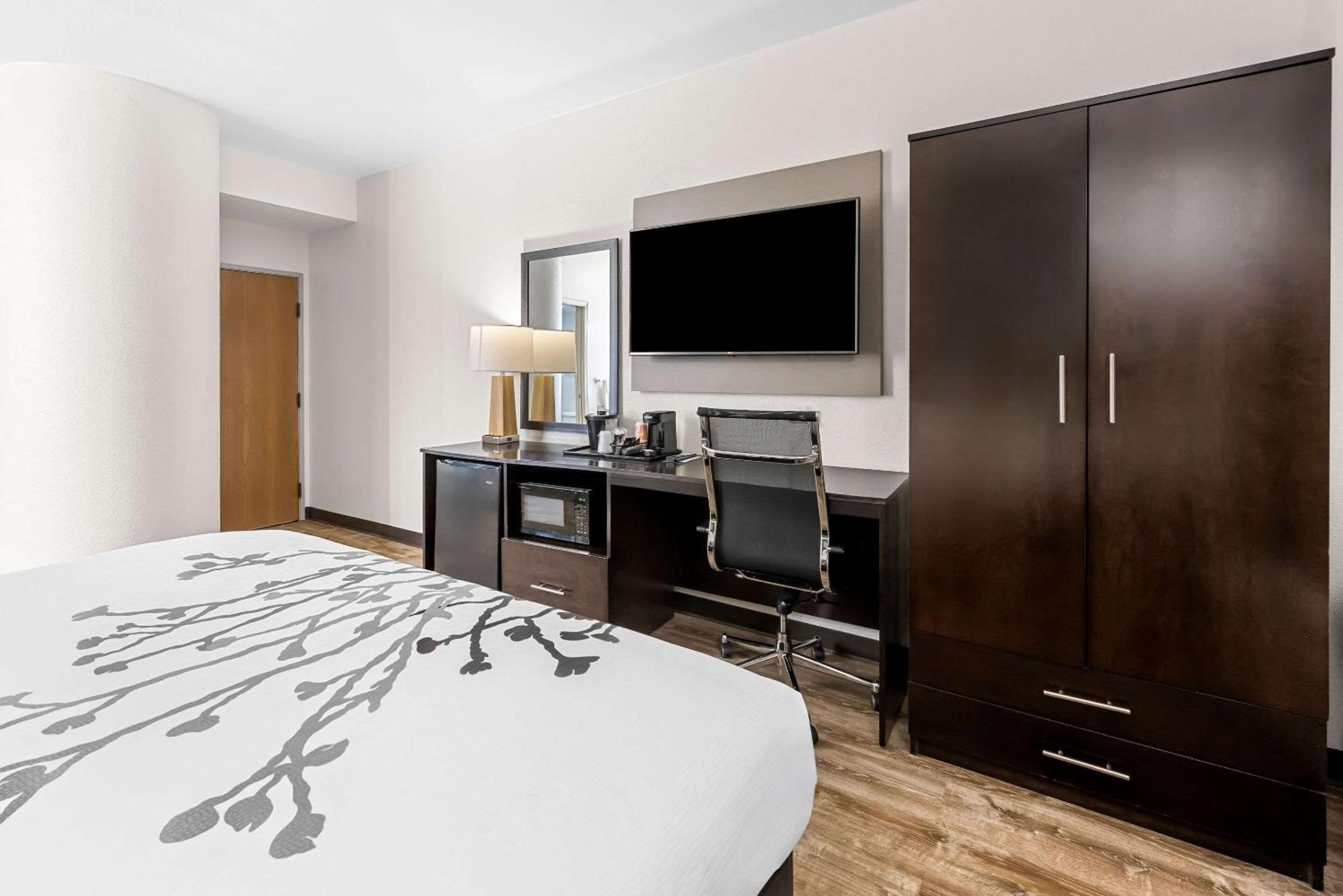 King Room - Non-Smoking photo 2