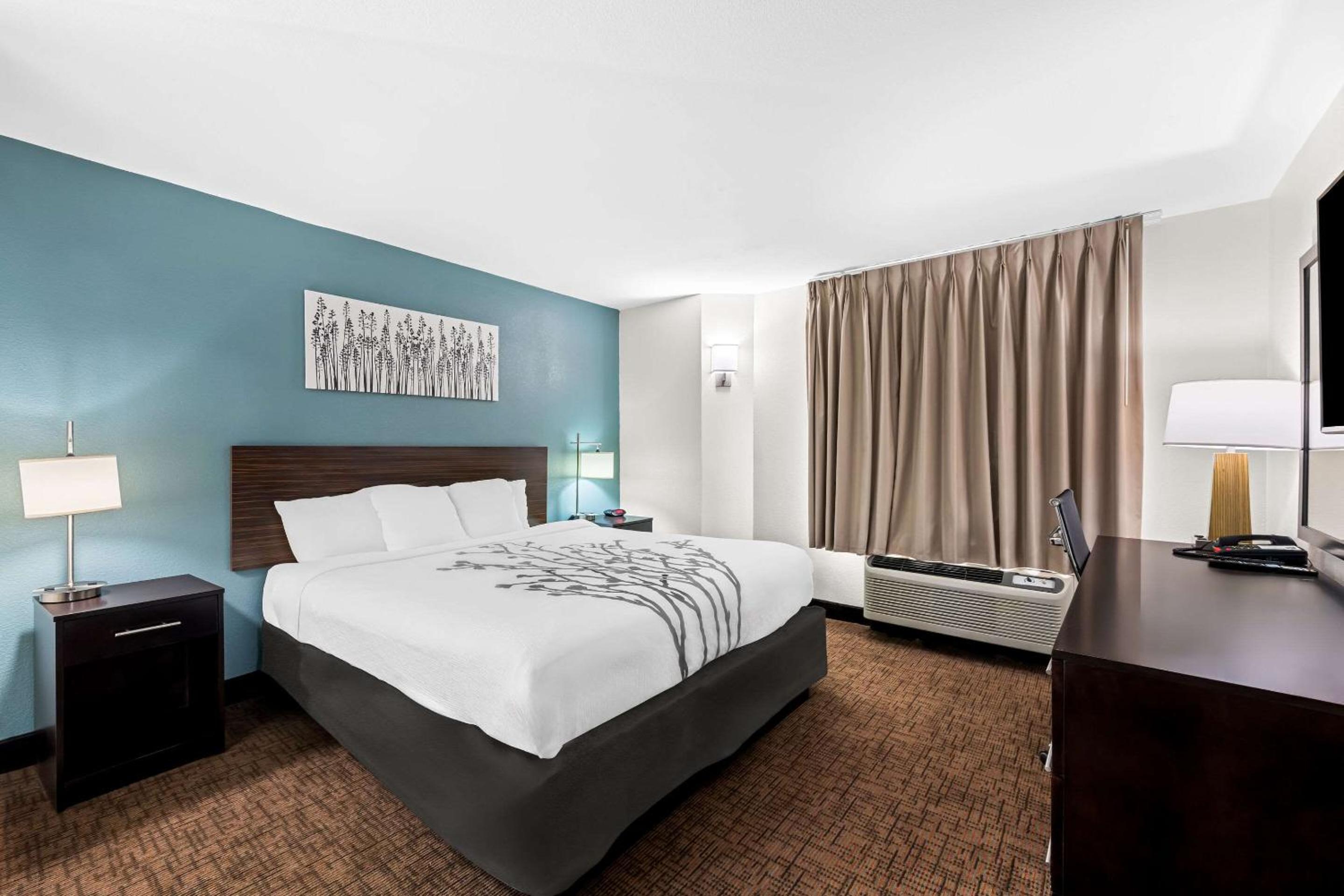 One-Bedroom King Suite with Sofa Bed - Non-Smoking photo 1