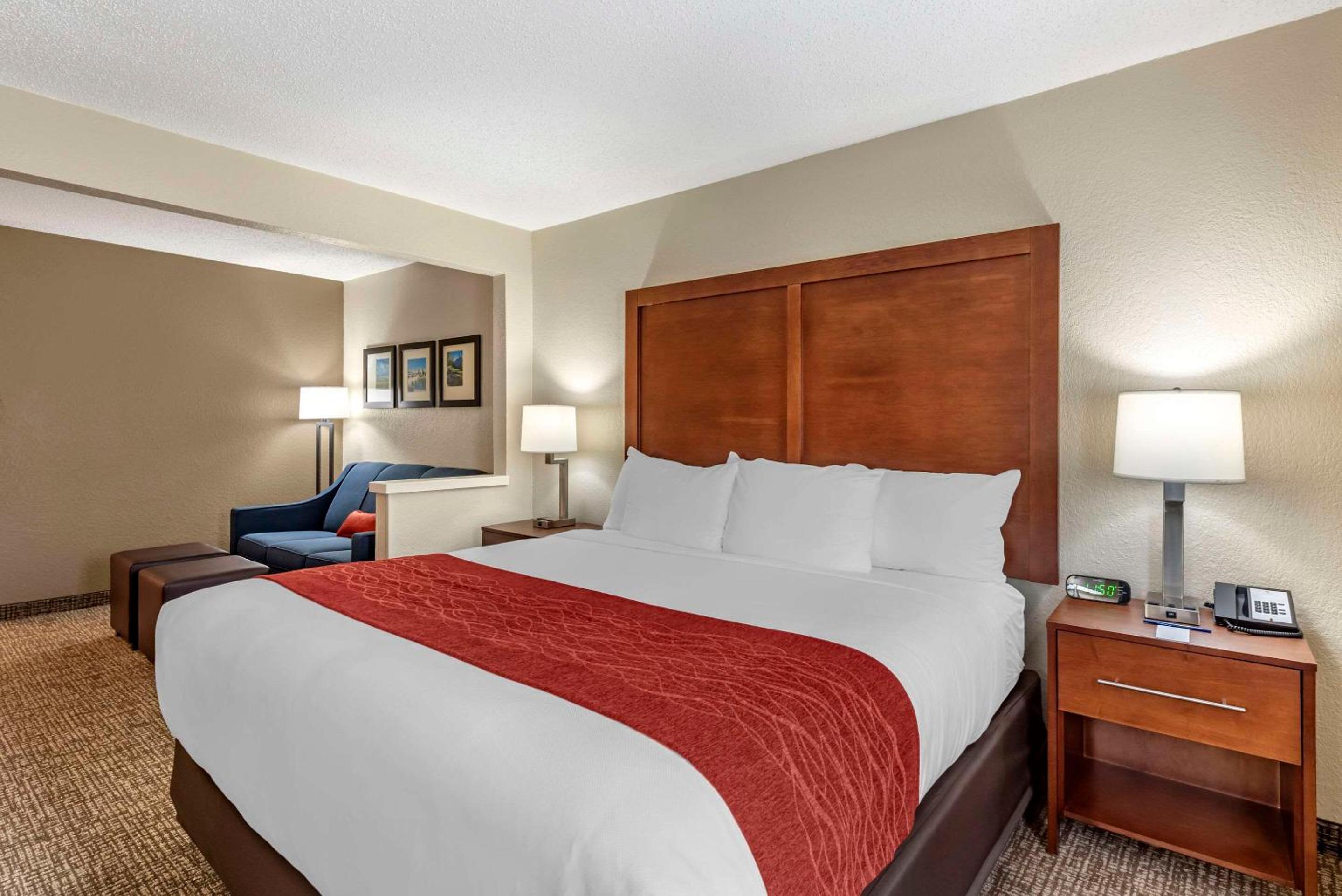 King Suite with Sofa Bed - Non-Smoking - Photo 3