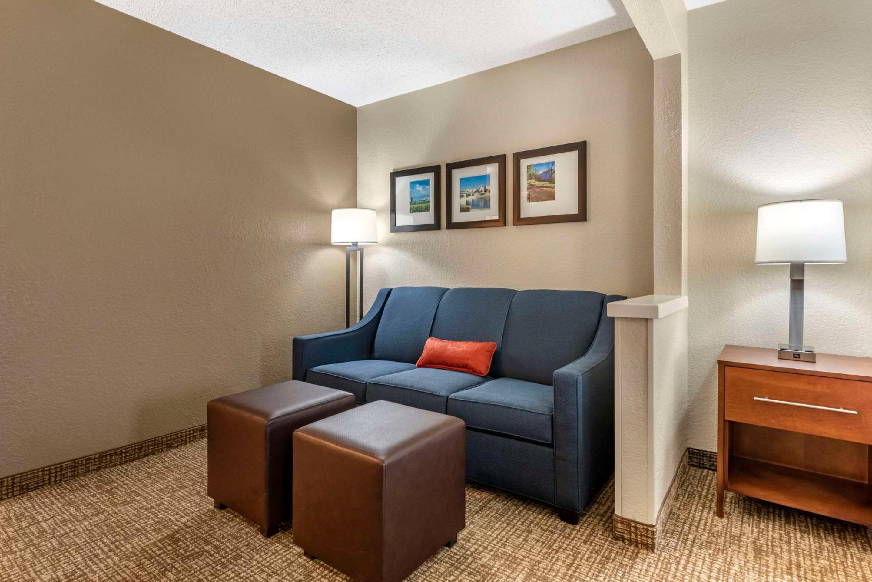 King Suite with Sofa Bed - Non-Smoking - Photo 4