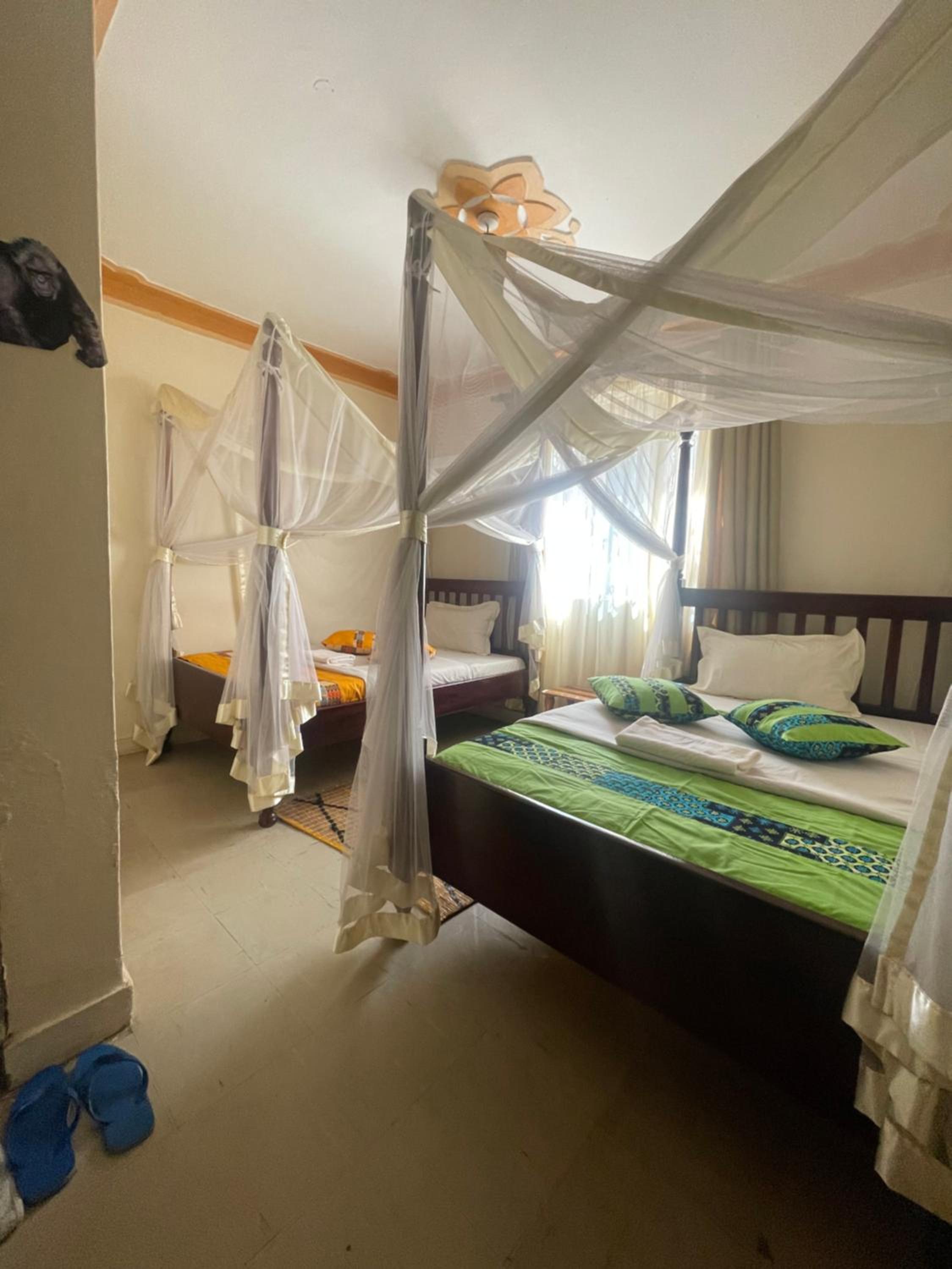Double Room photo 1
