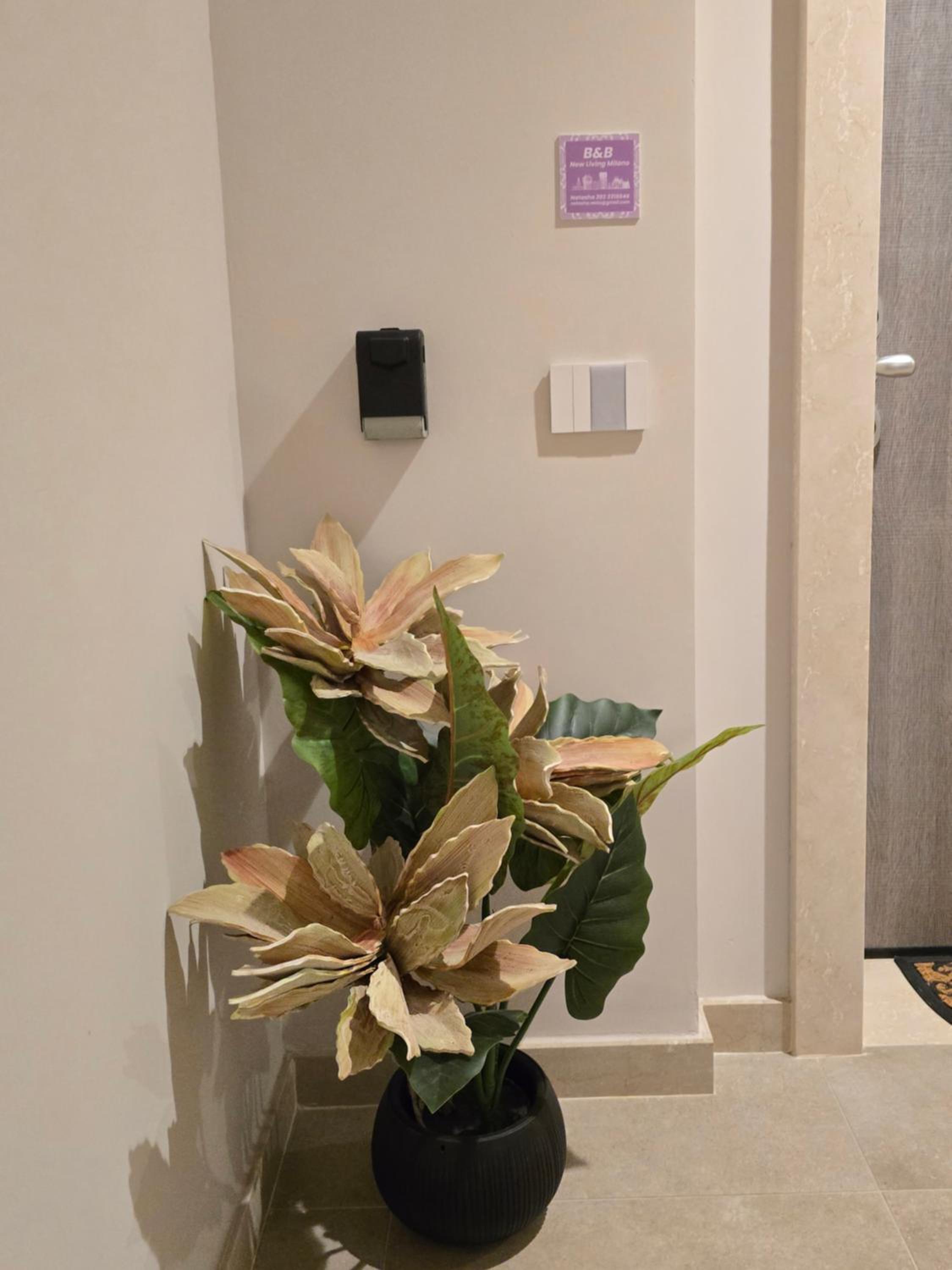 Luxury Quadruple Room photo 3