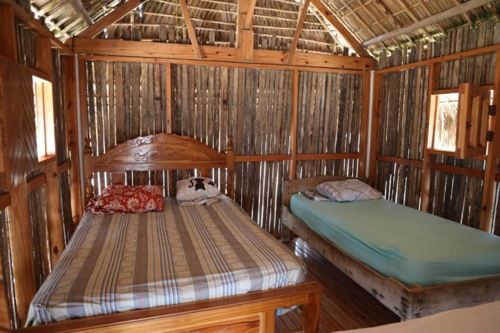 One-Bedroom House photo 1