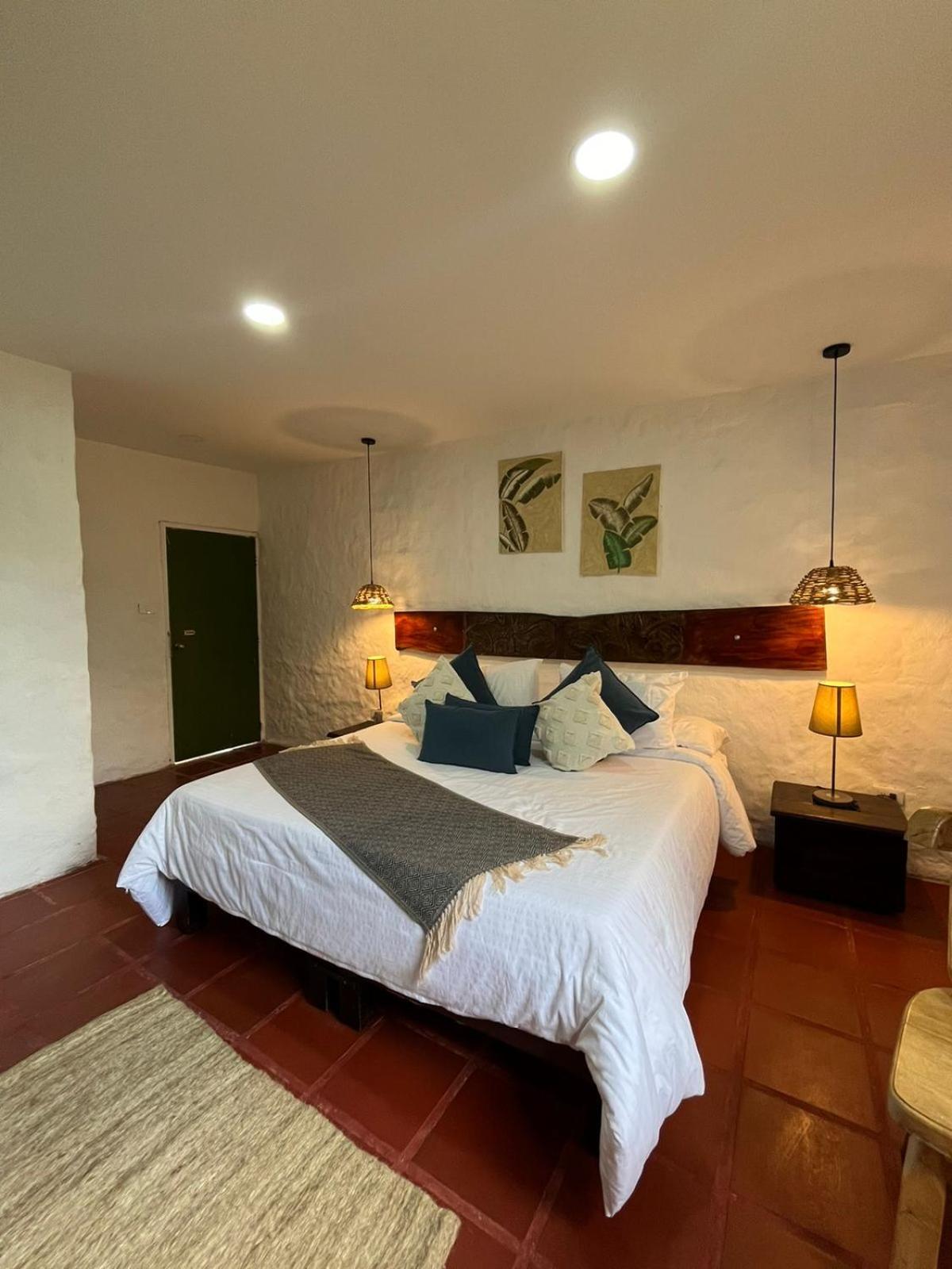 King Room photo 1