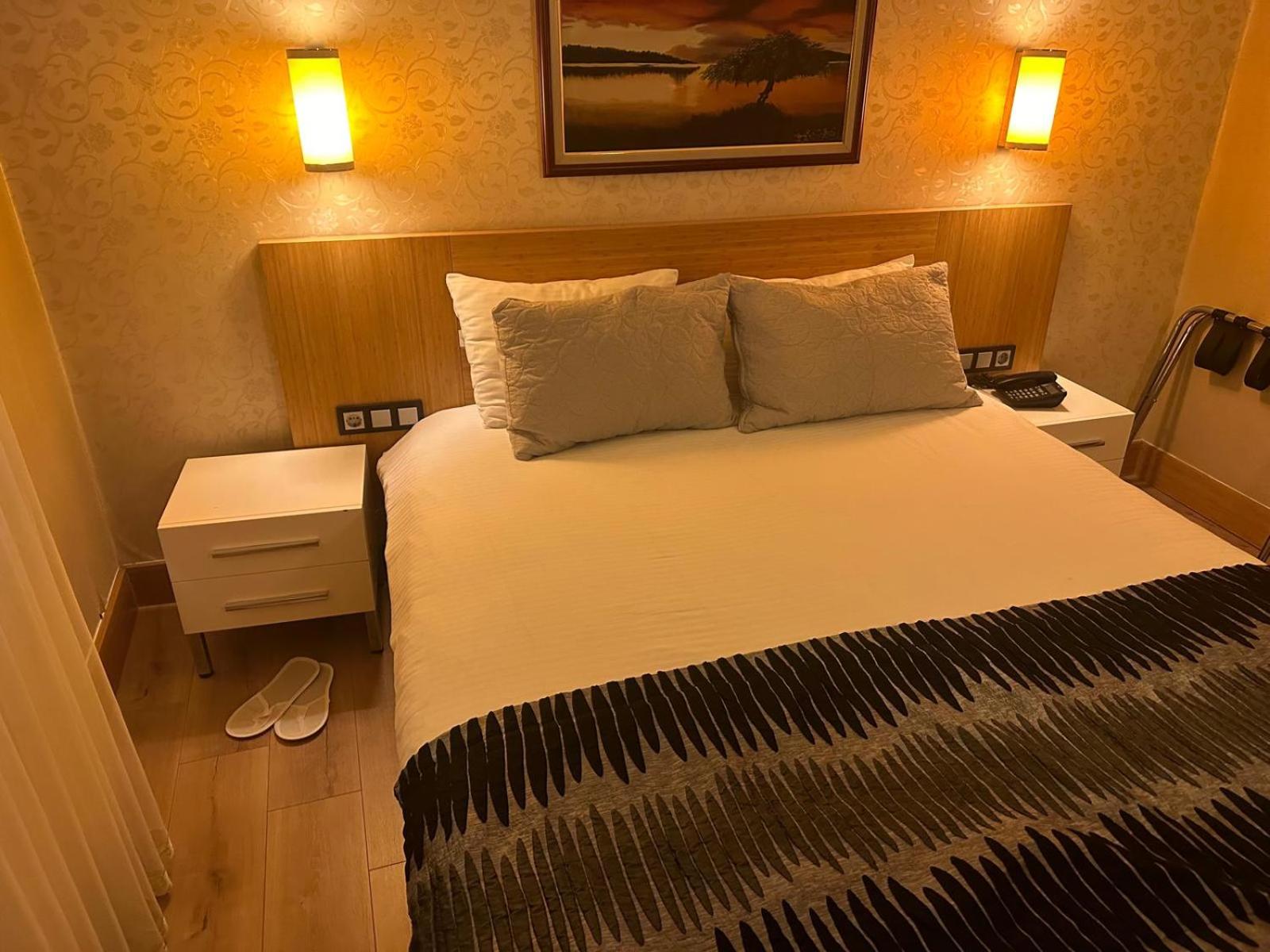 Deluxe Single Room photo 2