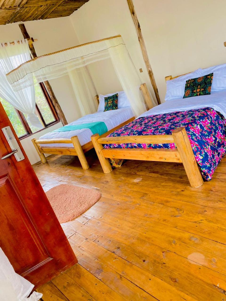 Twin Room with Mountain View photo 1
