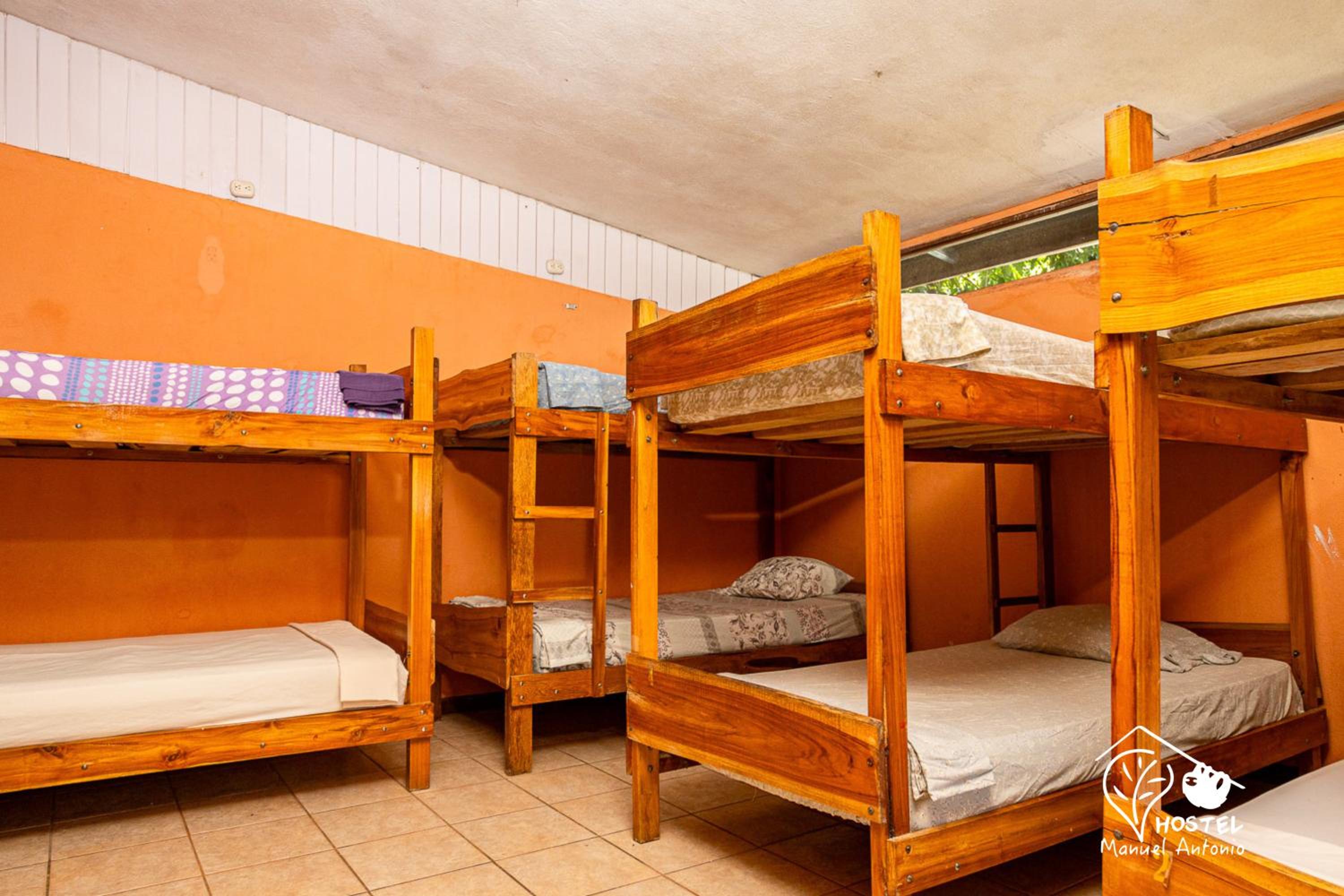 Bunk Bed in Mixed Dormitory Room photo 2