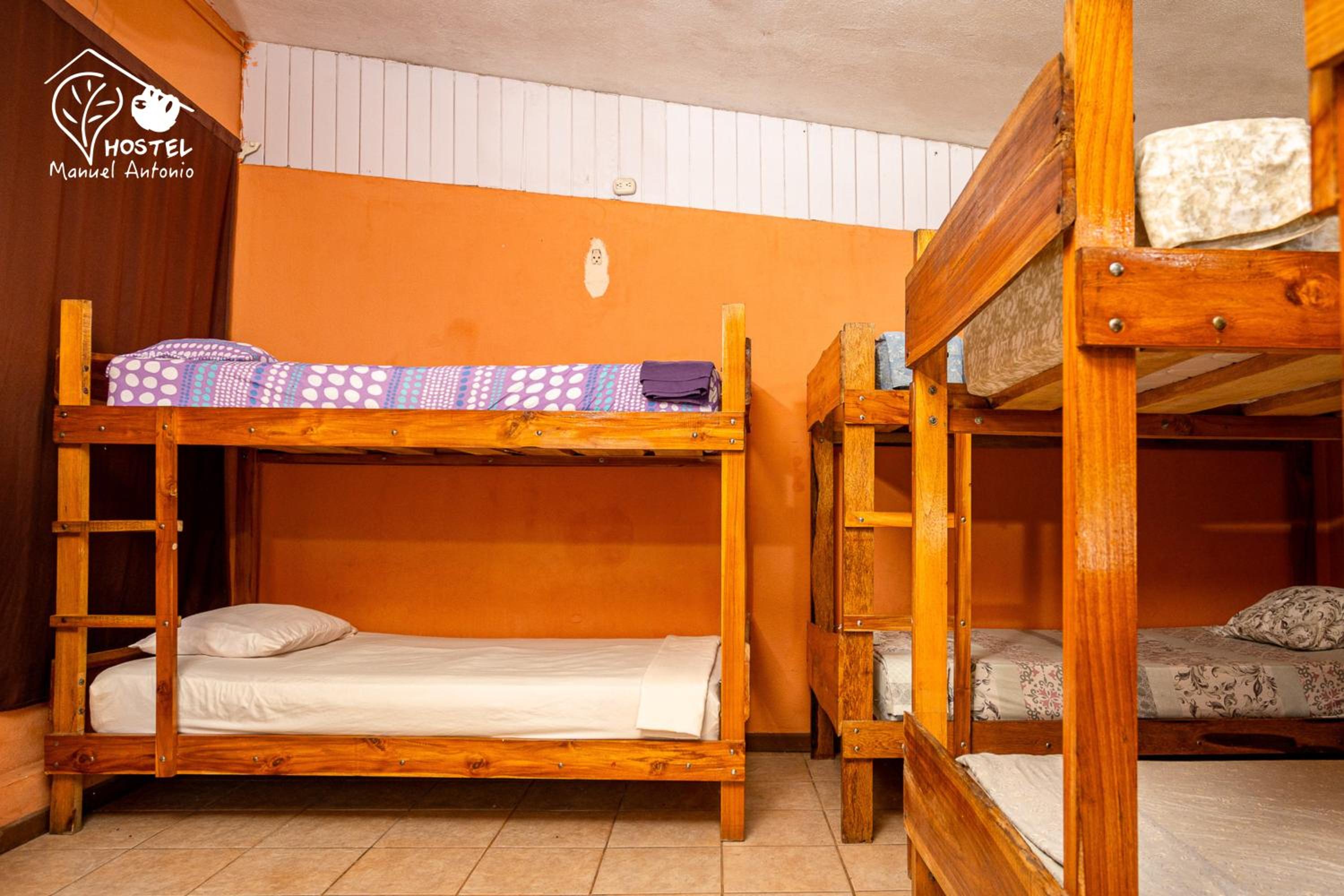 Bunk Bed in Mixed Dormitory Room photo 1