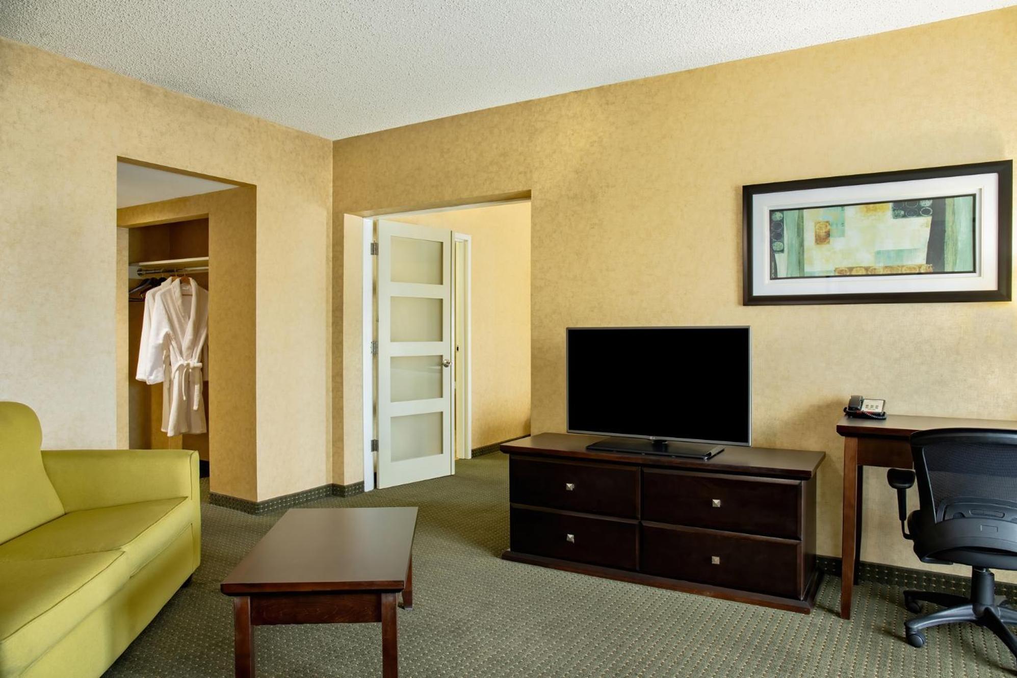 Deluxe King Suite with Sofa Bed and Kitchen - Non-Smoking - Photo 6