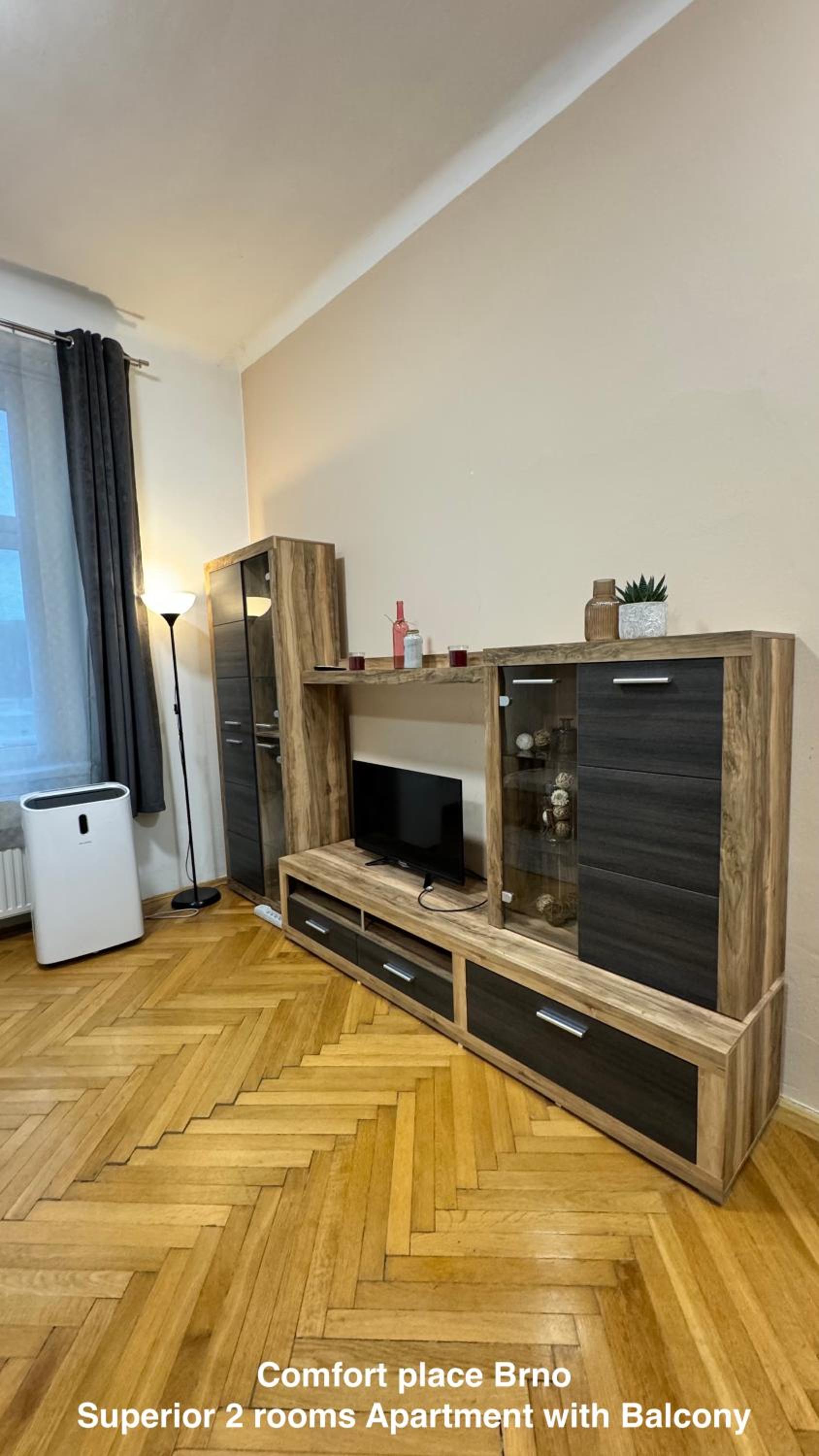 Superior One-Bedroom Apartment with Balcony