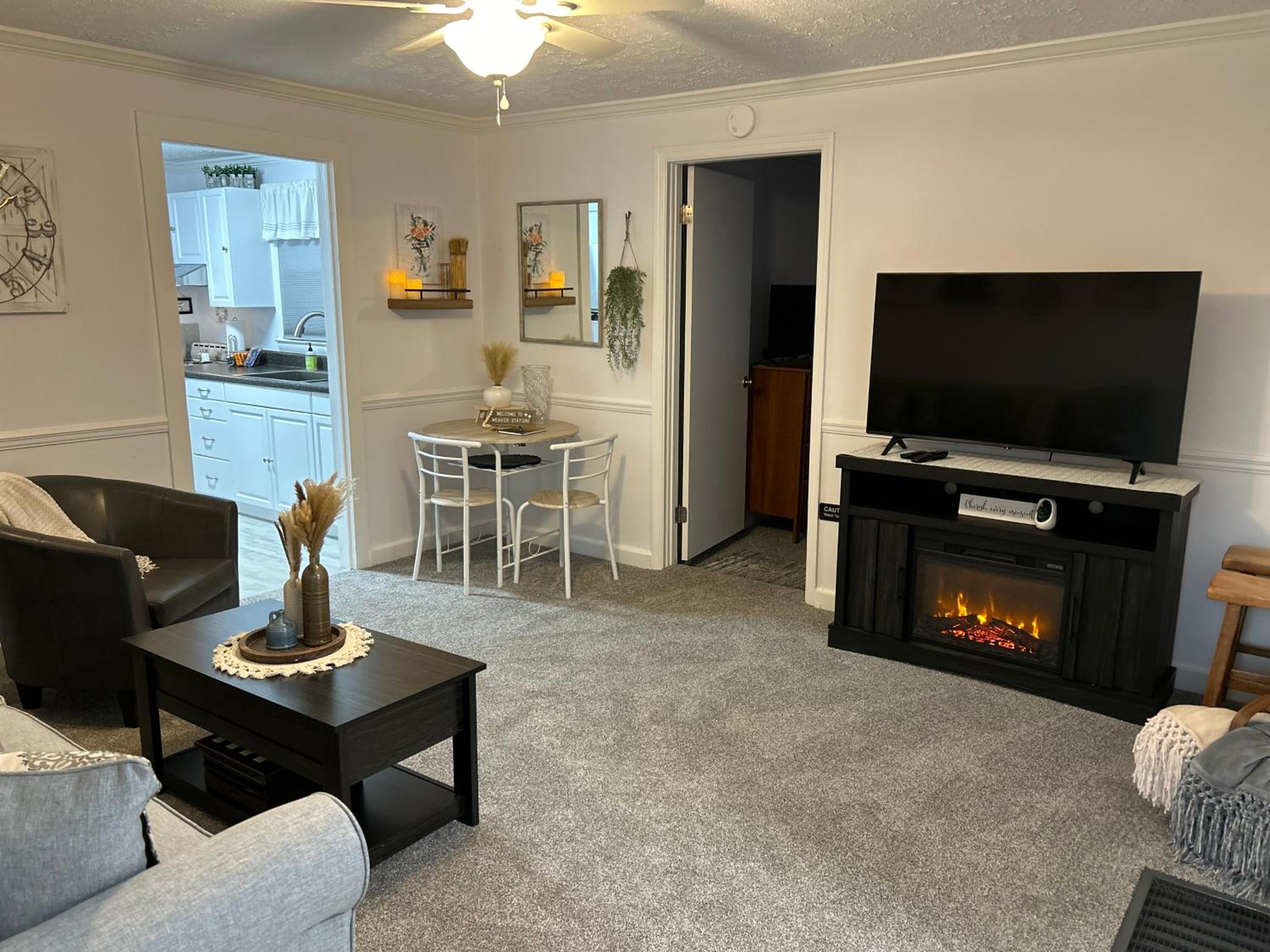 One-Bedroom Apartment photo 3