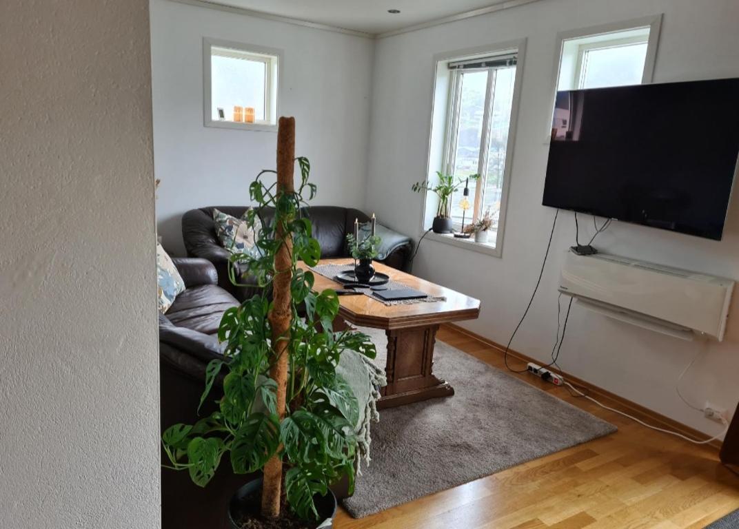 Three-Bedroom Apartment photo 1