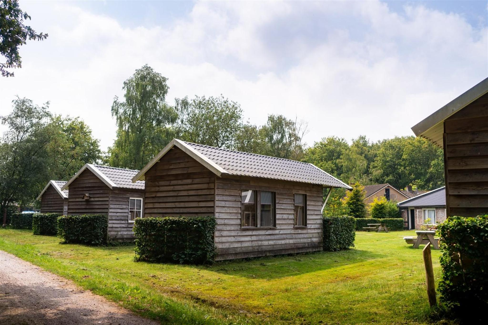 Family Cabin photo 3