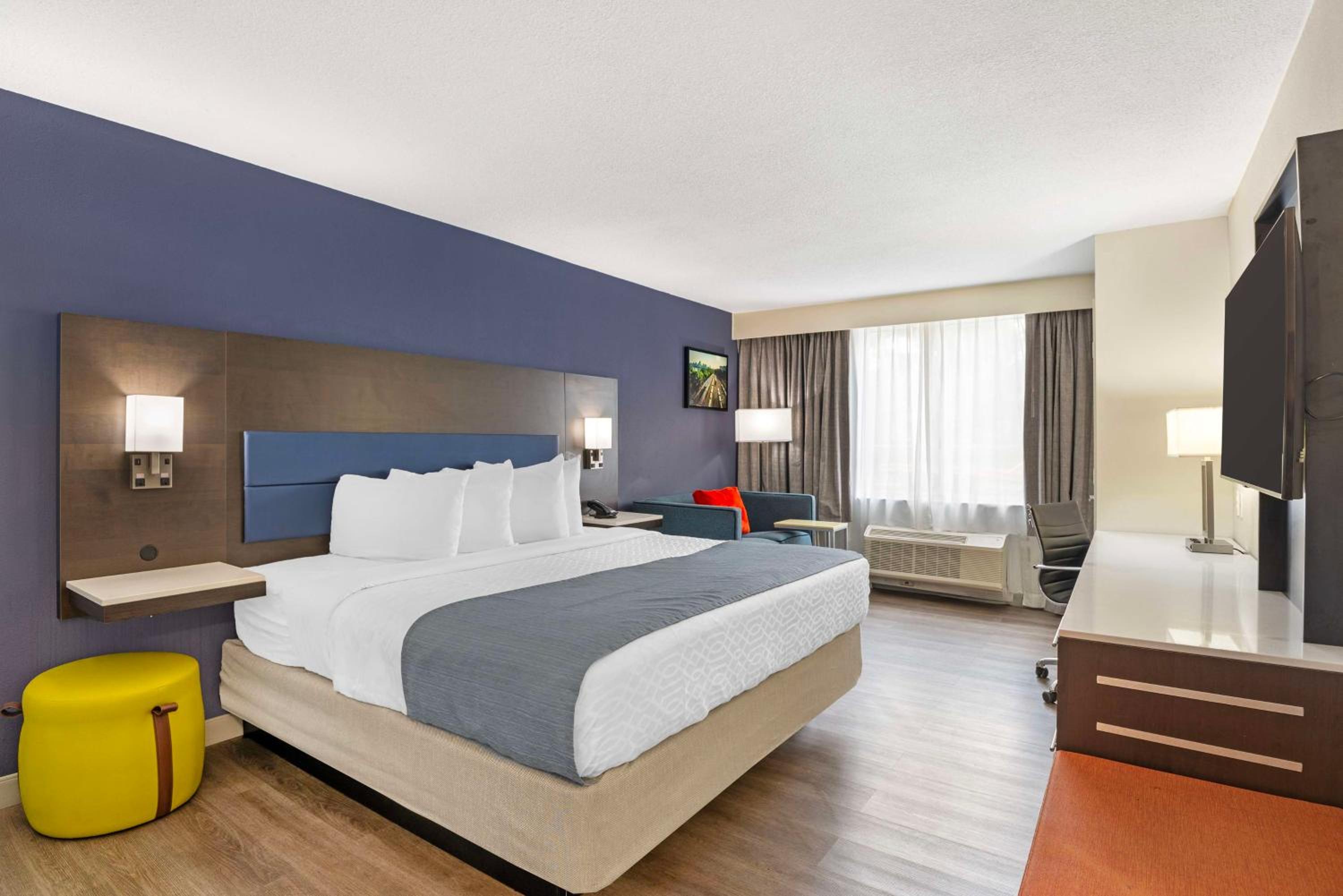 Executive King Room photo 1