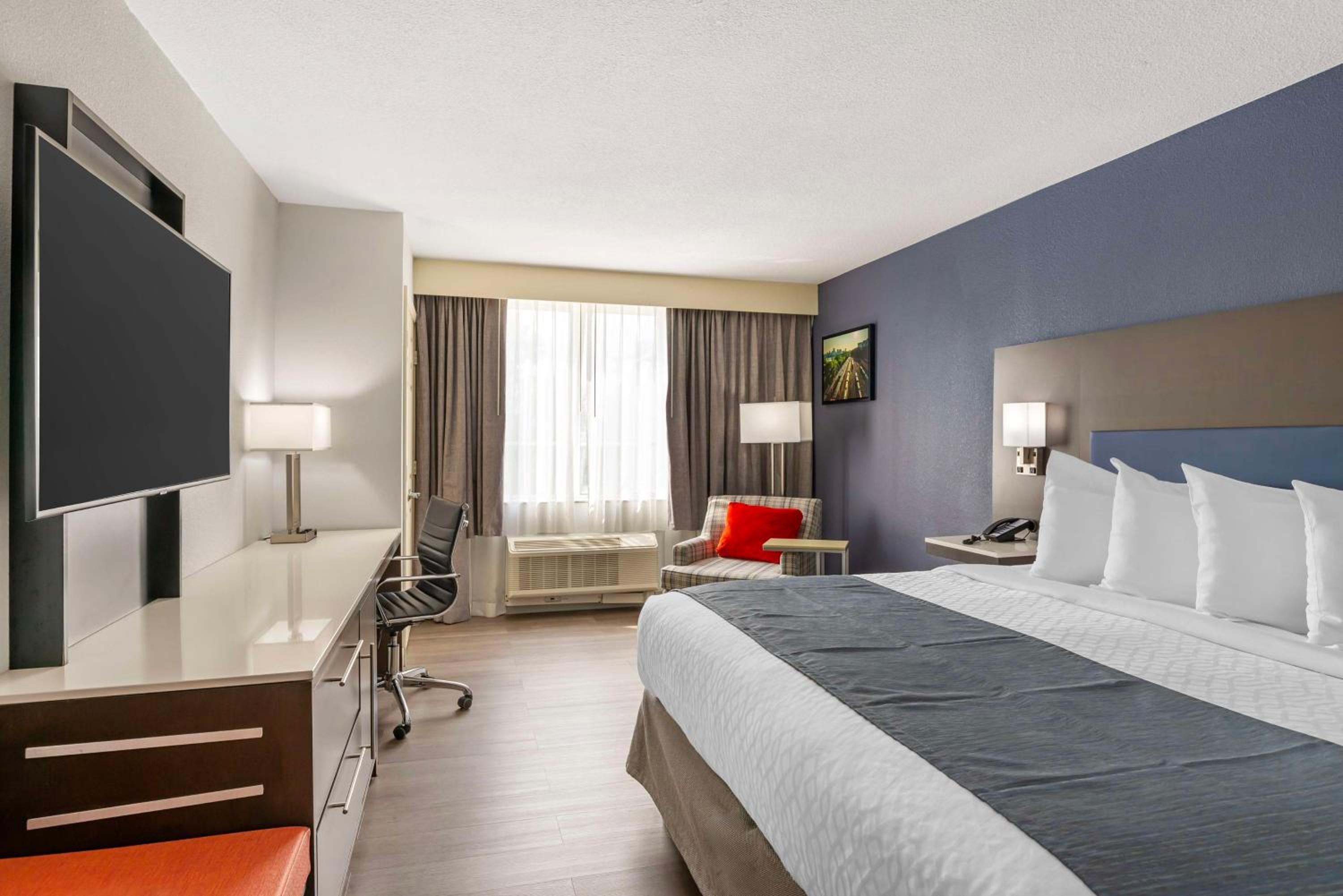 One-Bedroom King Suite with Sofa Bed - Non-Smoking photo 2