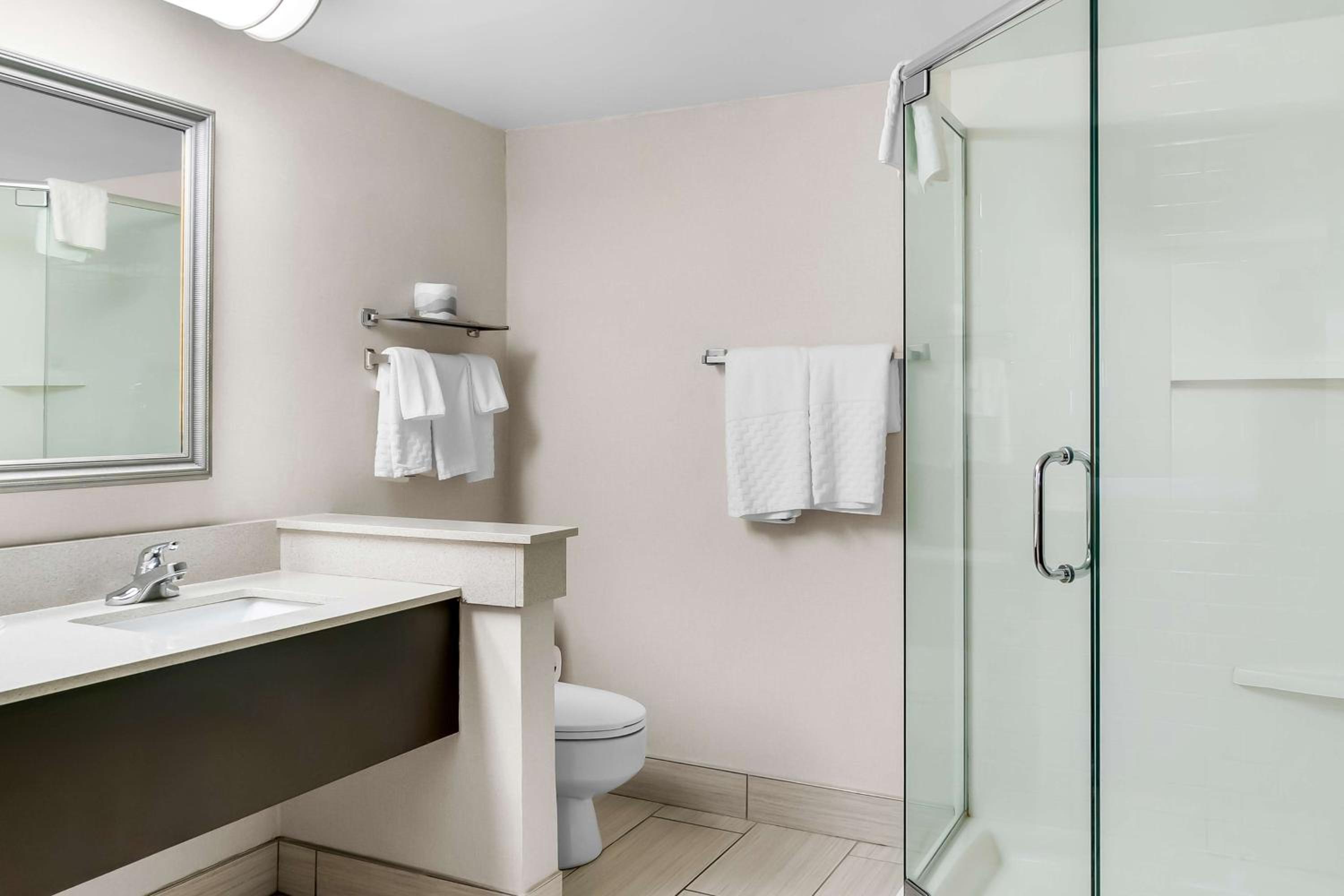 King Suite with Kitchenette - Photo 5