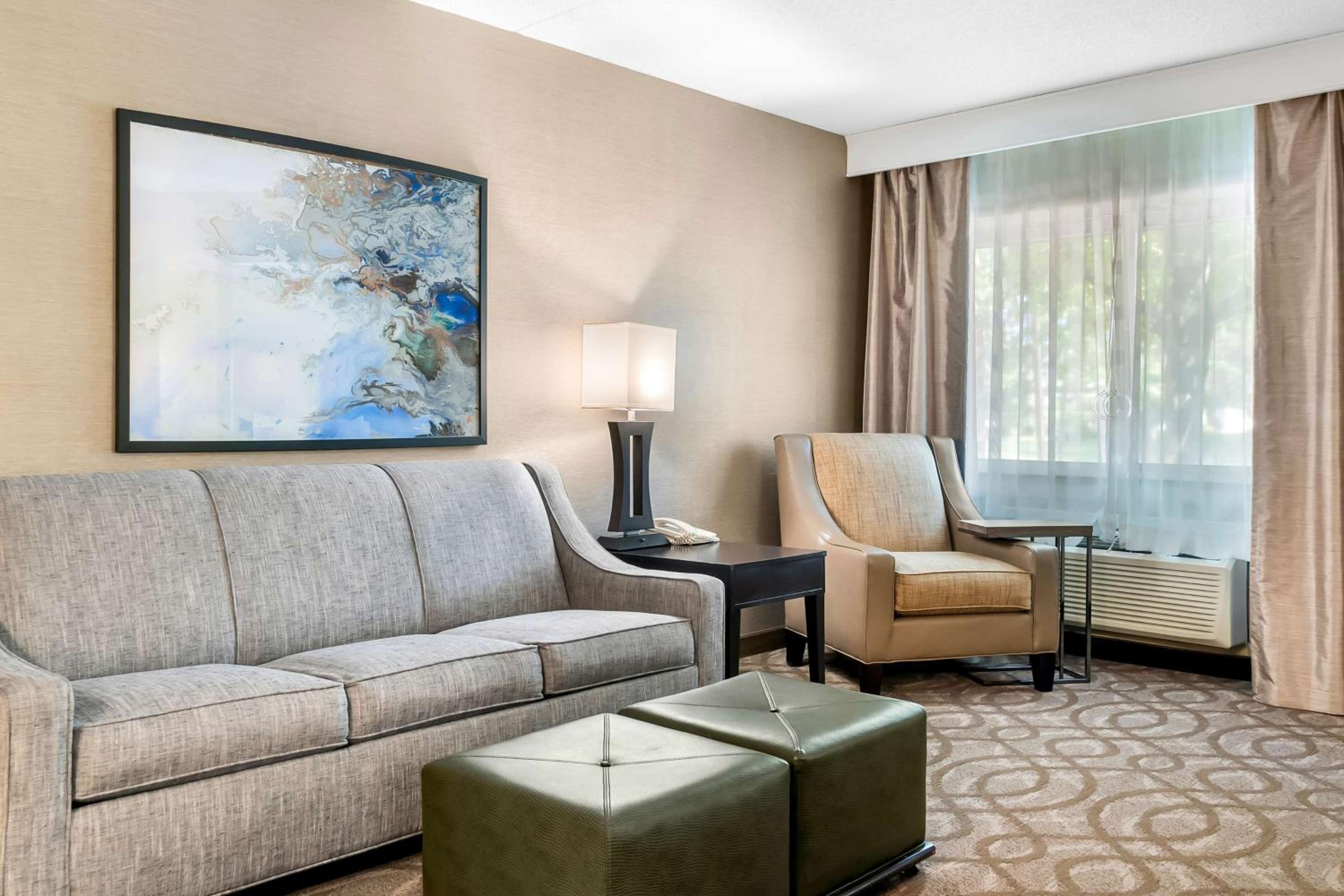 King Suite with Roll-In Shower, Sofa Bed and Kitchenette - Disability/Non-Smoking - Photo 4
