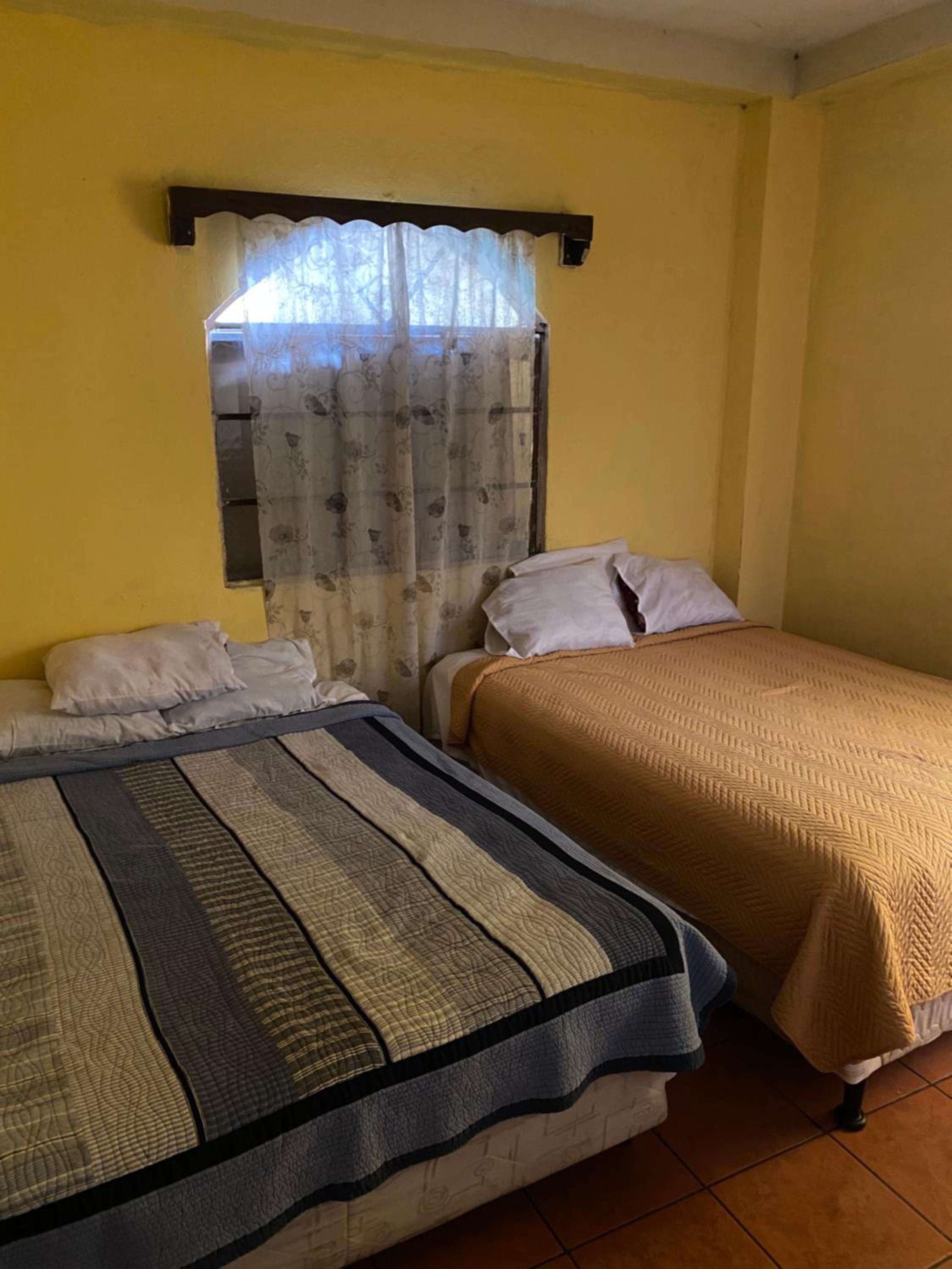 Twin Room photo 1