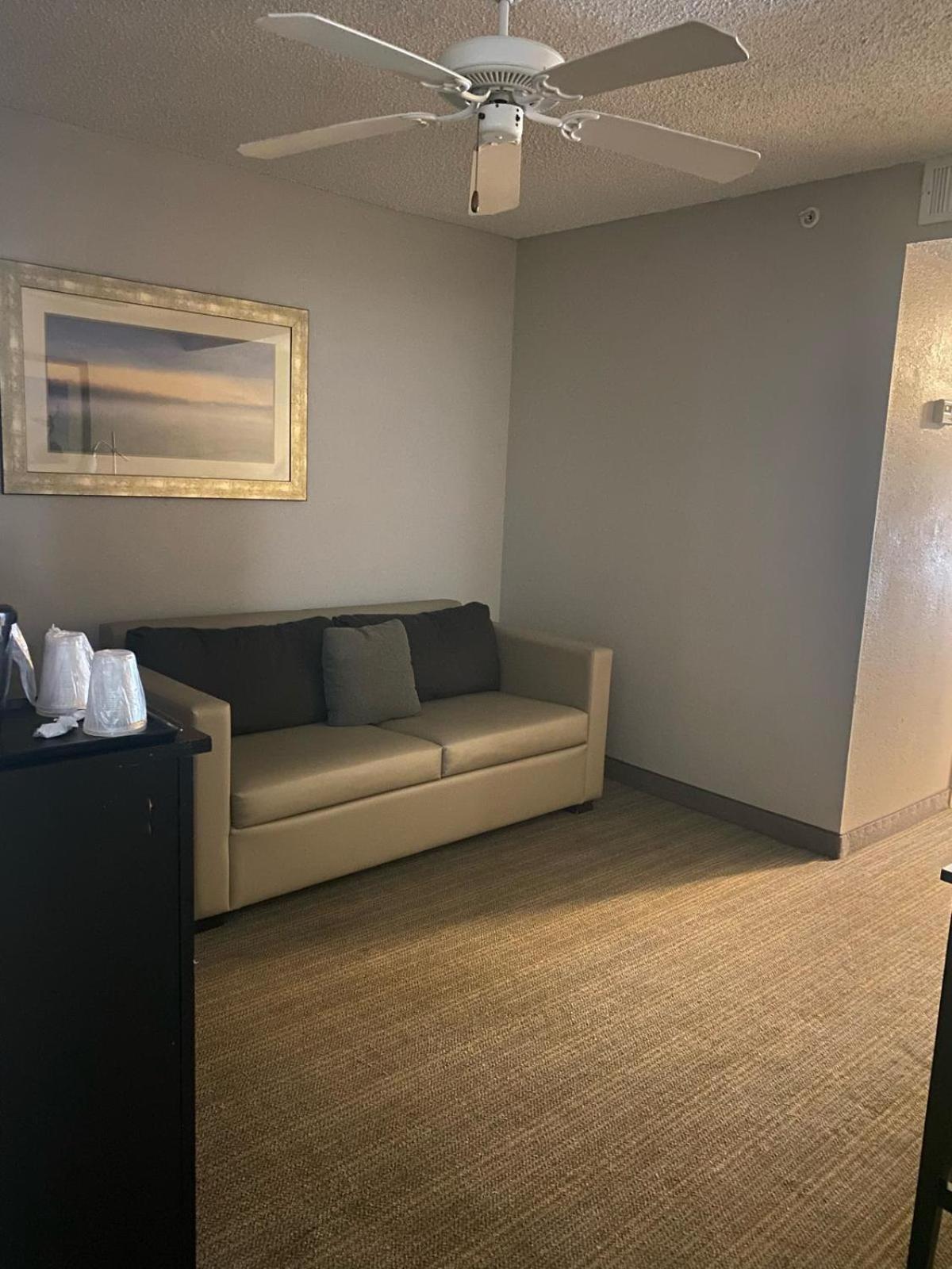 King Studio Suite - Non-Smoking - Photo 10