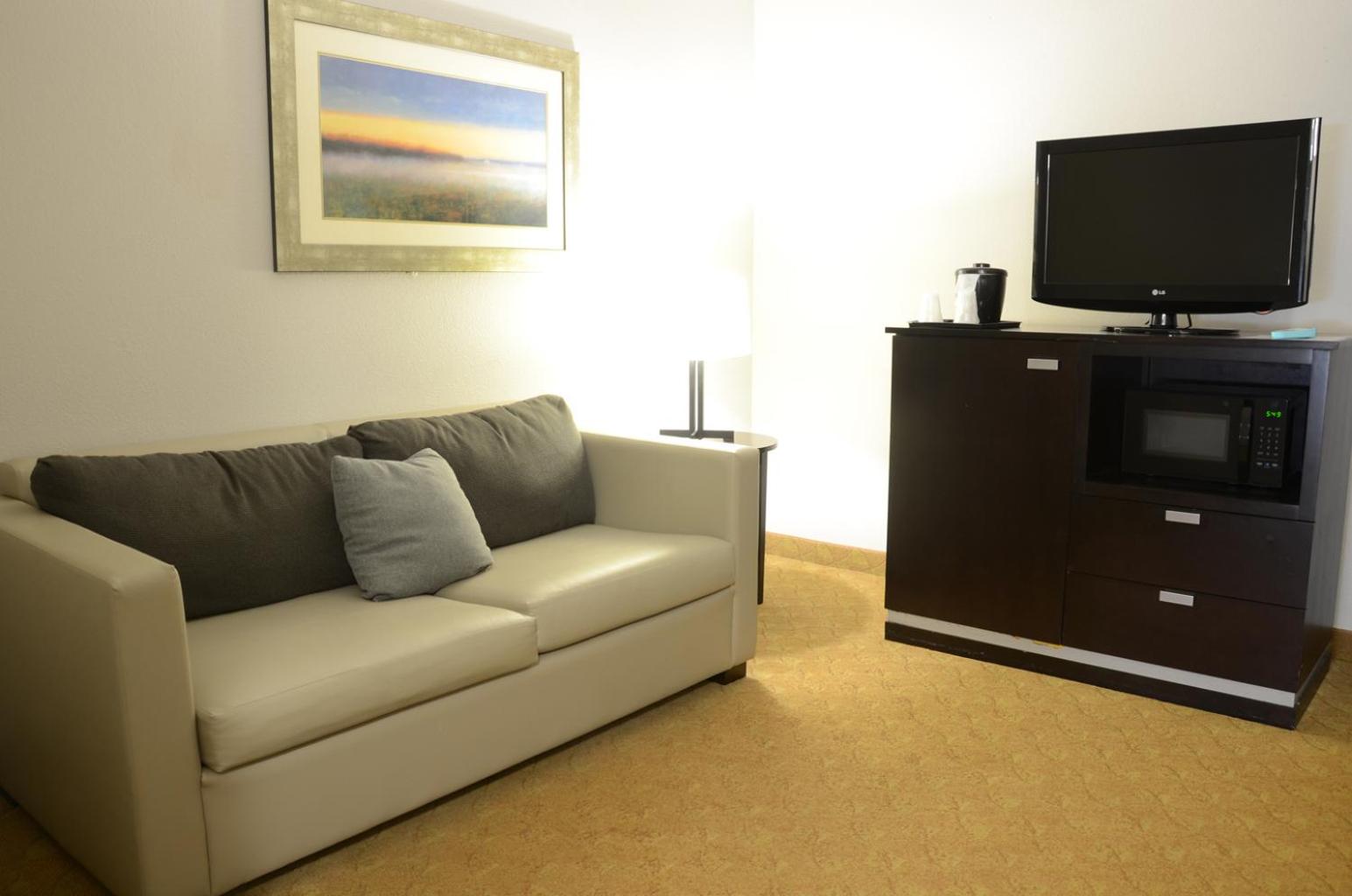 King Studio Suite - Non-Smoking - Photo 9