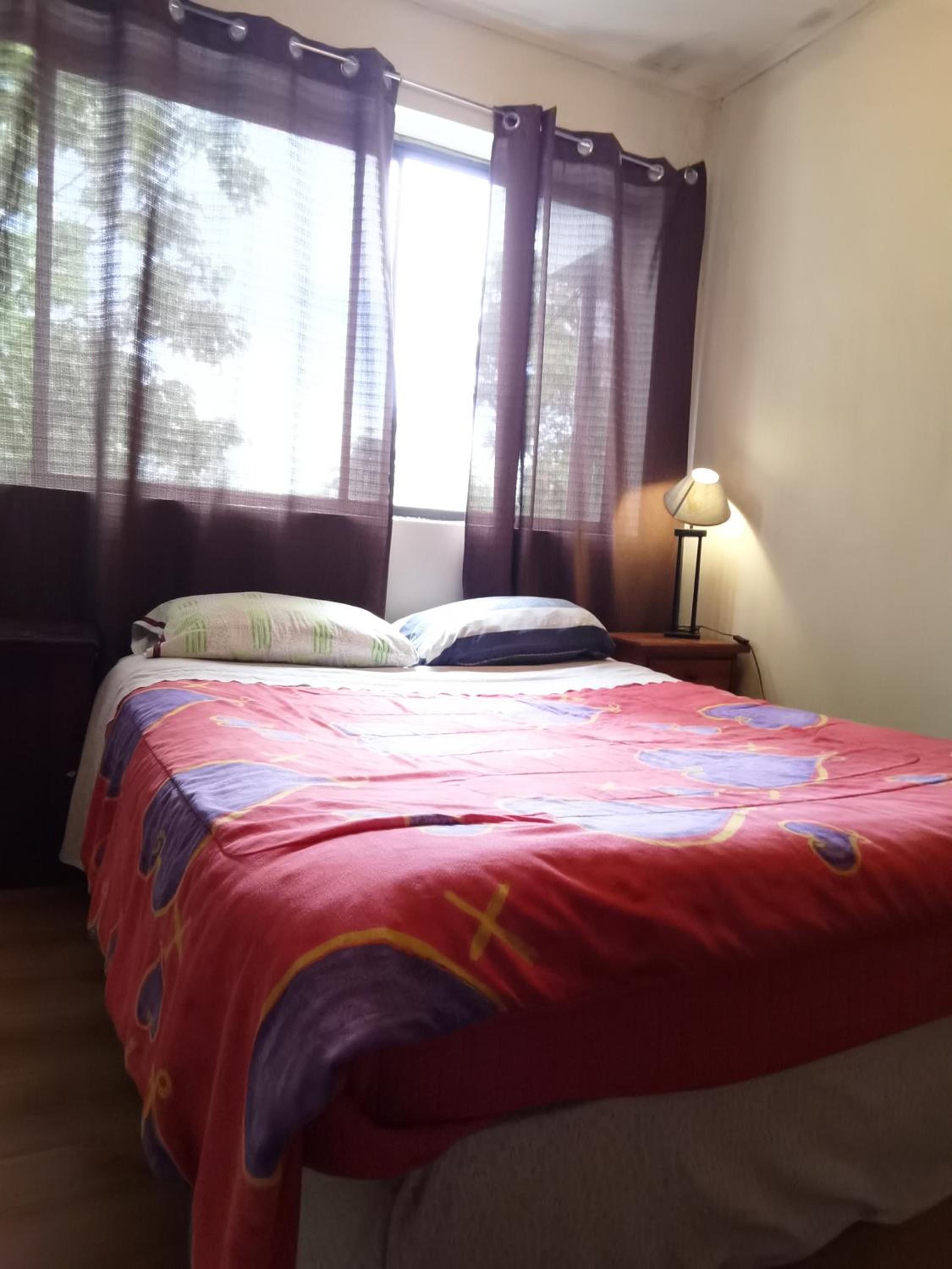 Double Or Twin Room photo 2