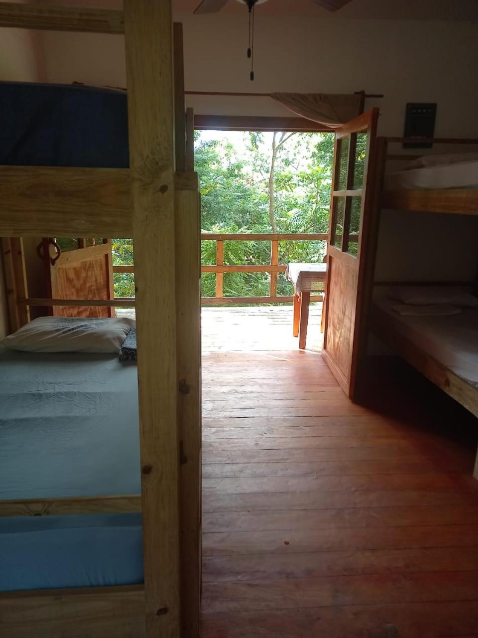 Single Bed In Mixed Dormitory Room photo 1