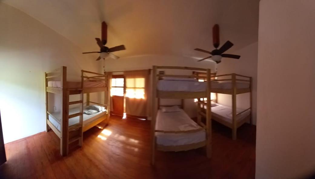Single Bed In Mixed Dormitory Room photo 3