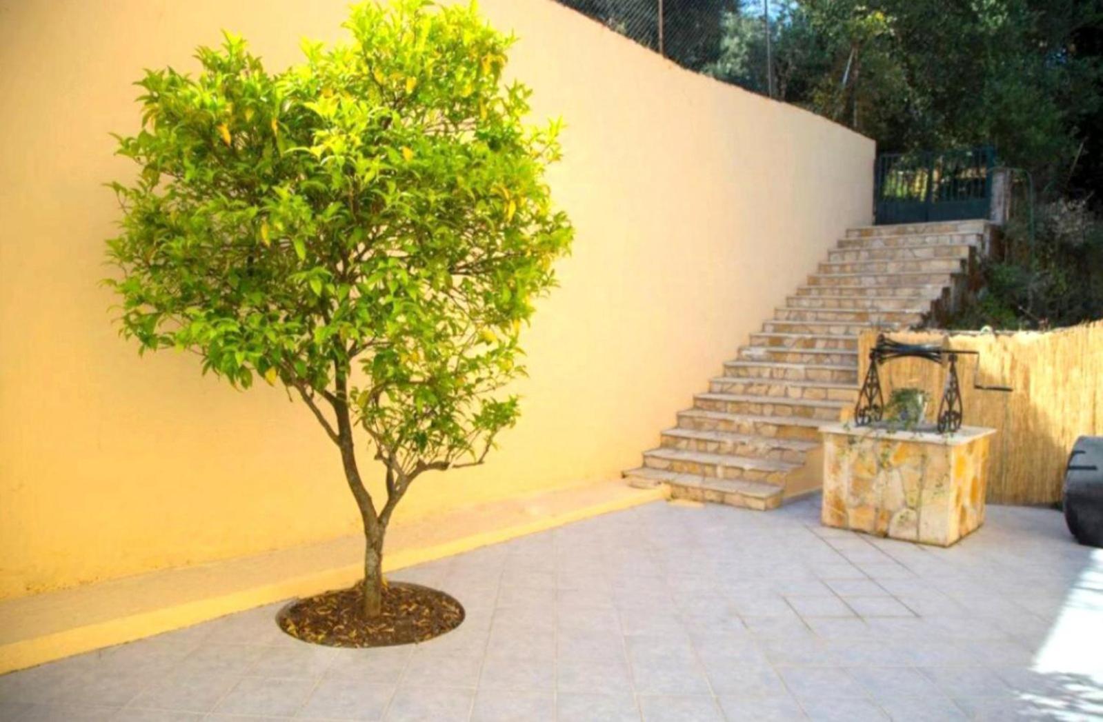 Villa photo 3