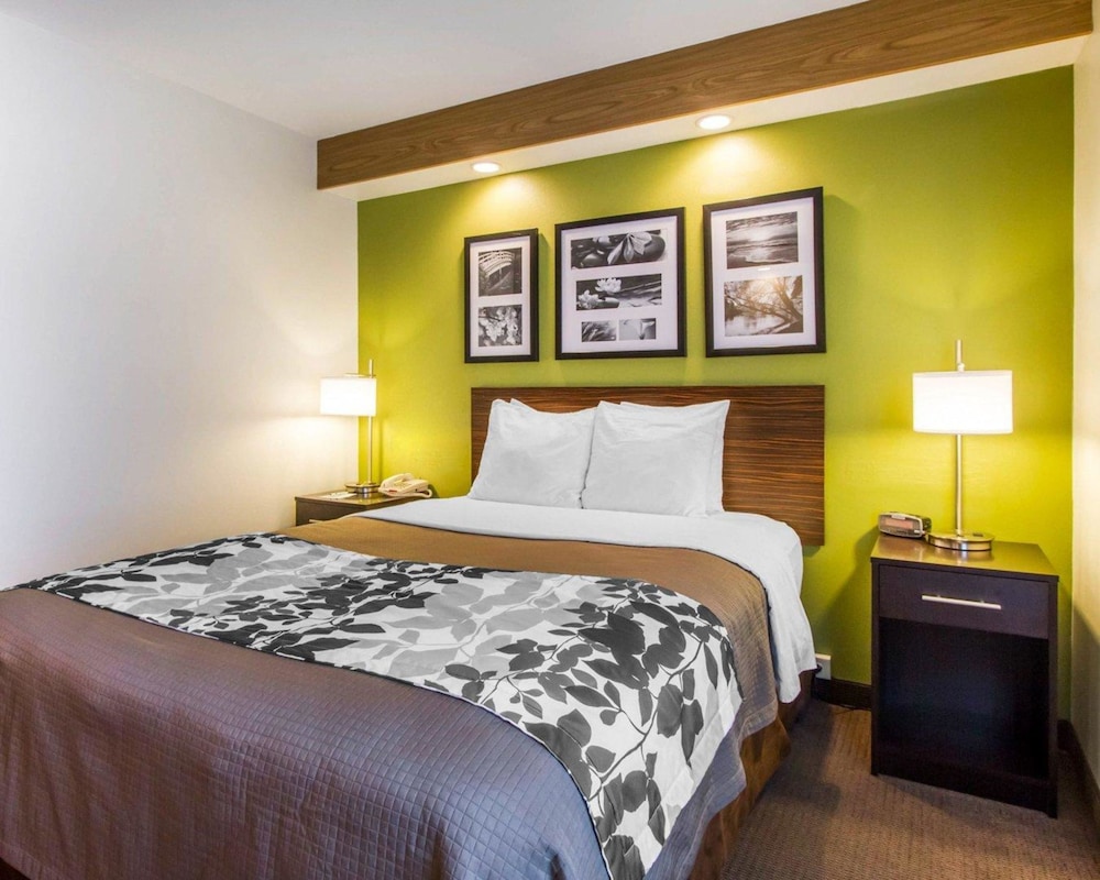 Standard Room, 1 Queen Bed, Accessible, Non Smoking - Photo 1