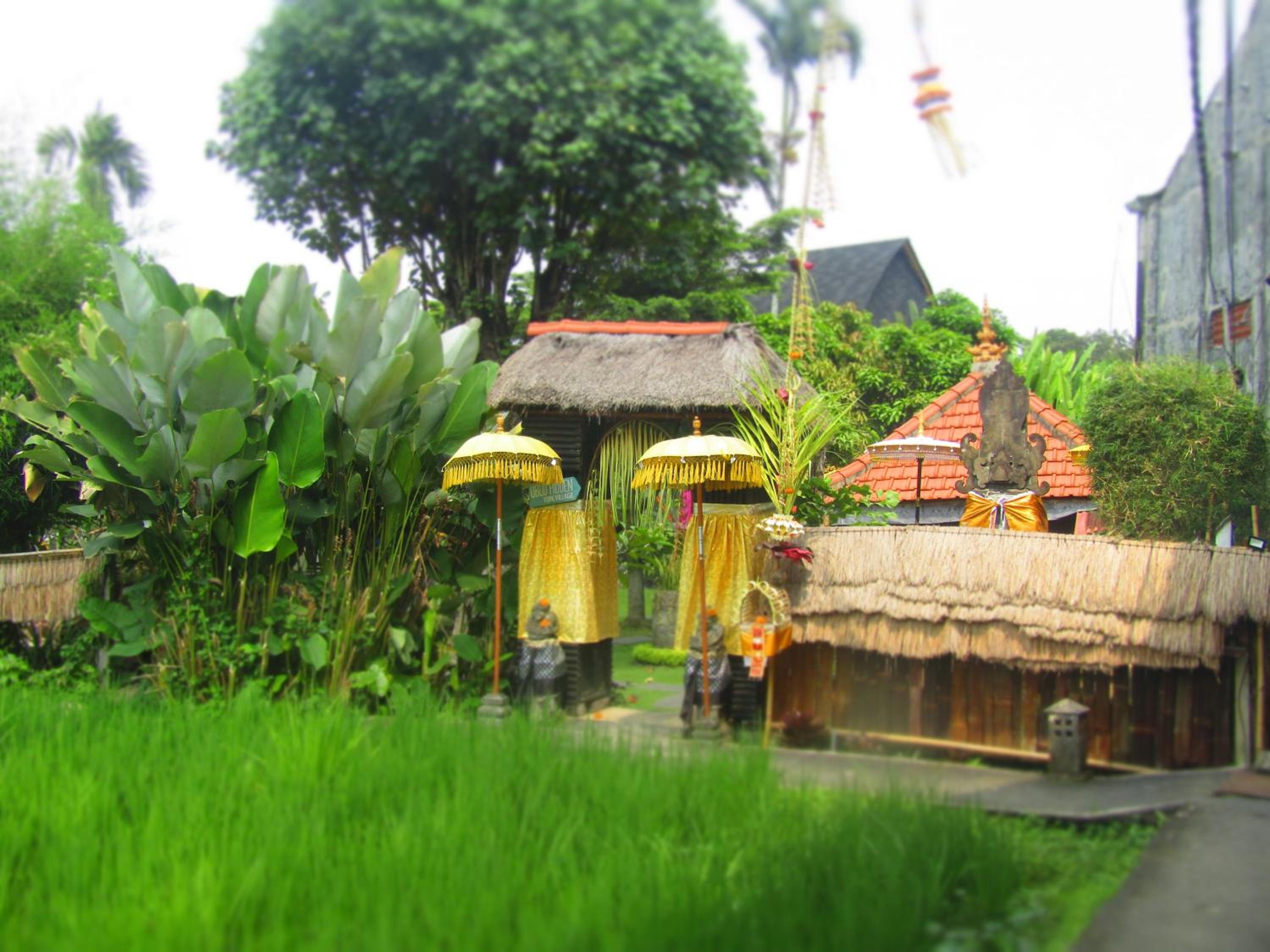 Deluxe Bungalow - Photo 3