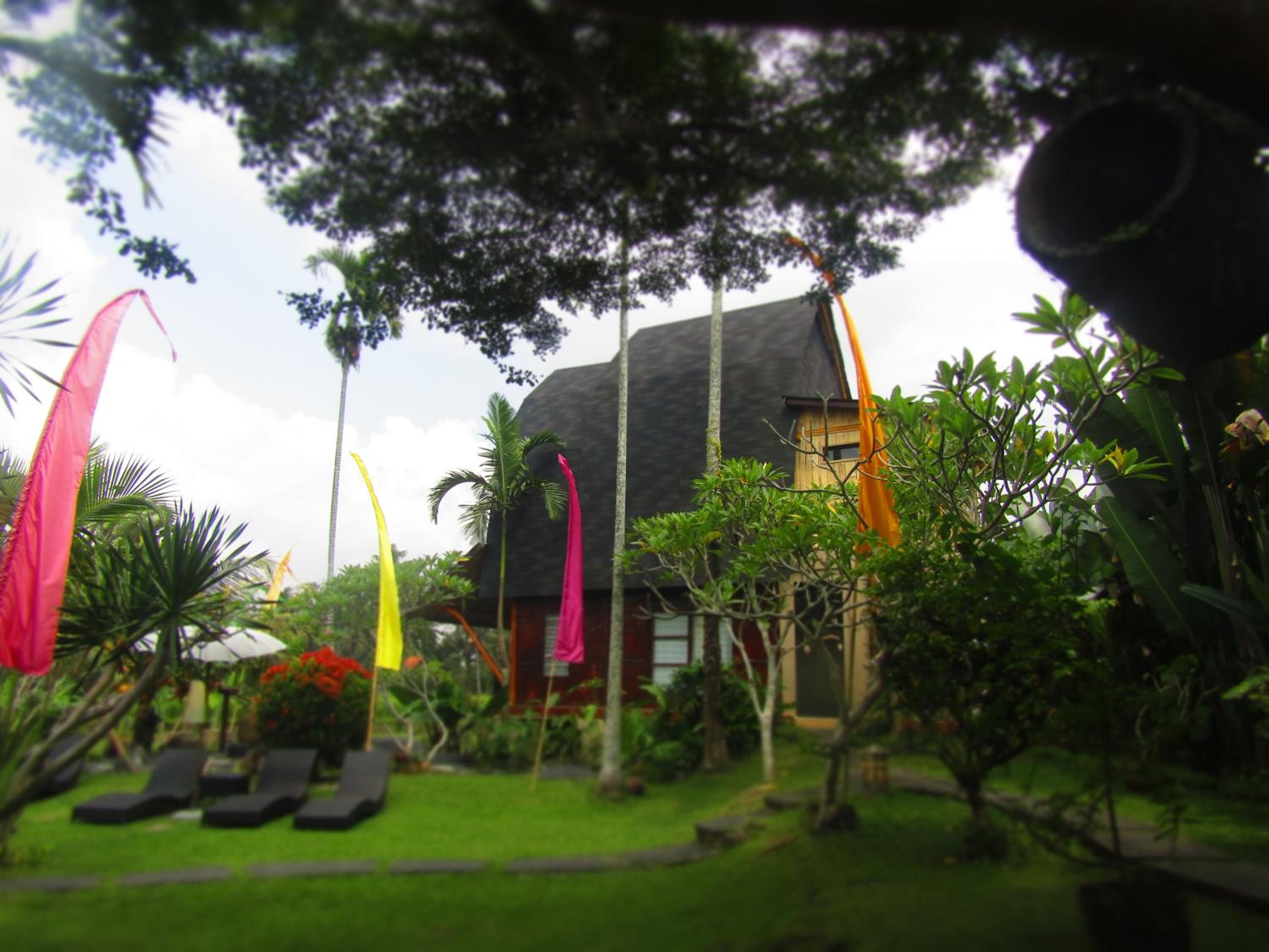 Deluxe Bungalow - Photo 8