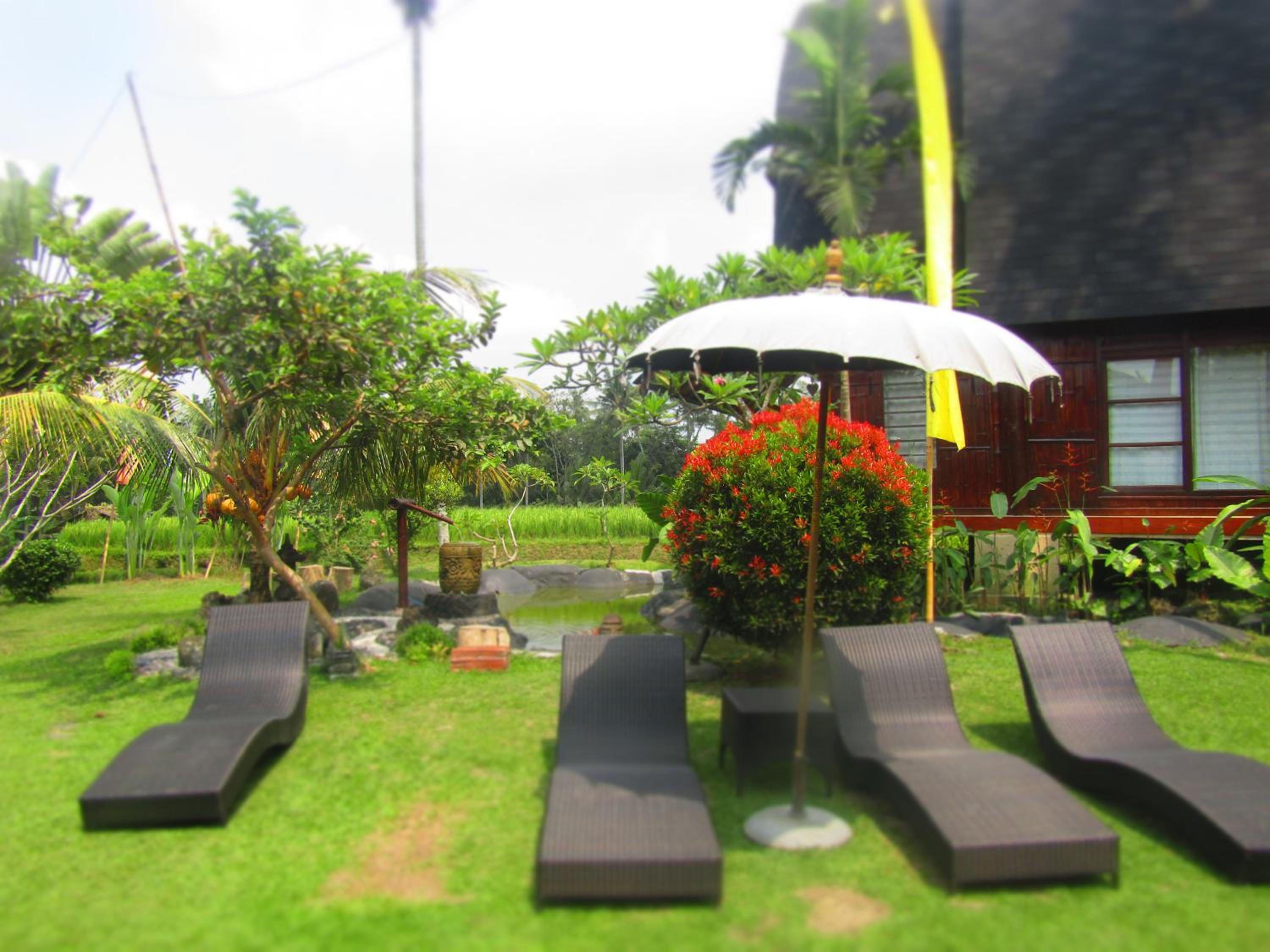 Deluxe Bungalow - Photo 5