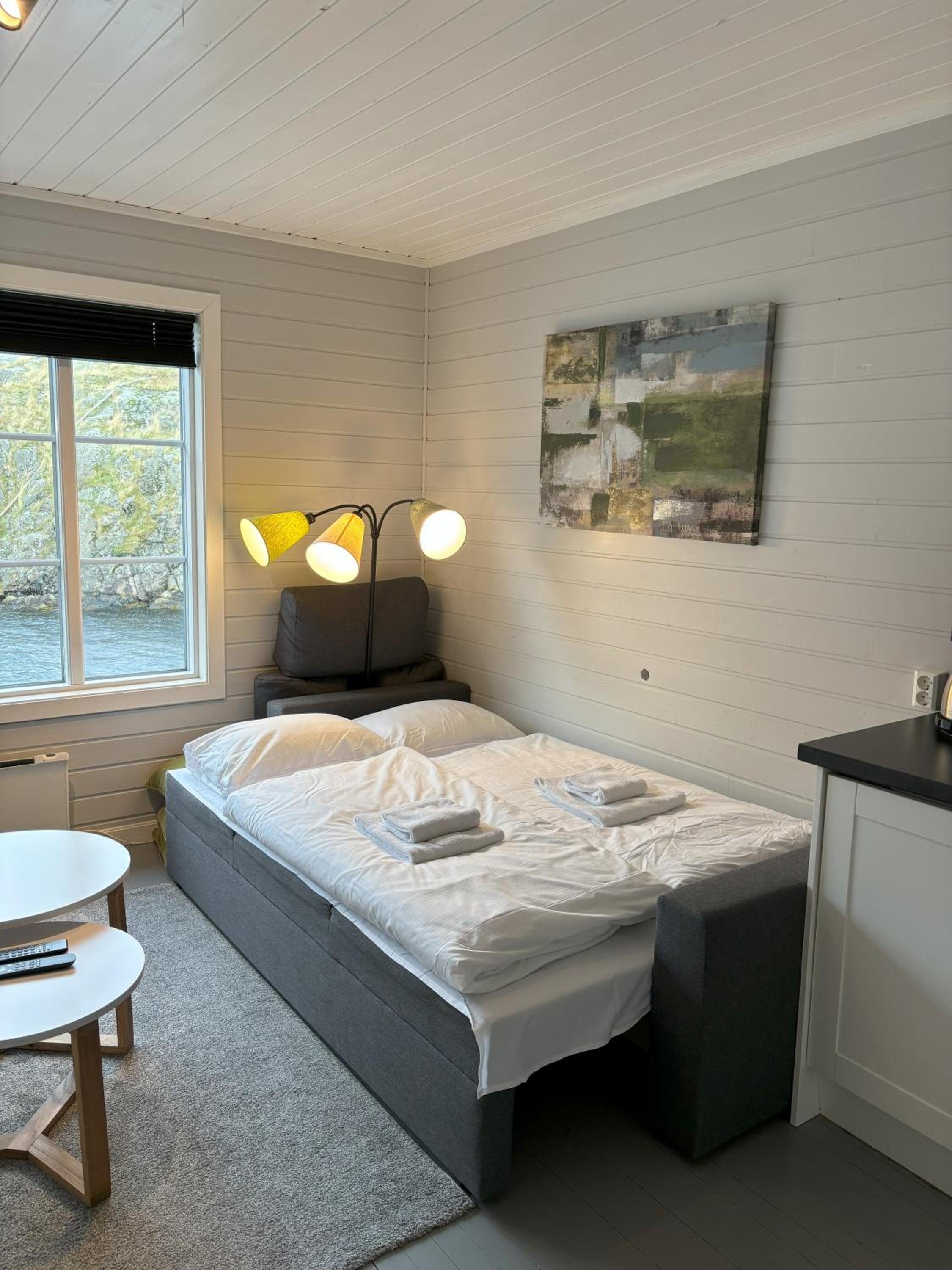 One-Bedroom Apartment with Sofabed photo 2