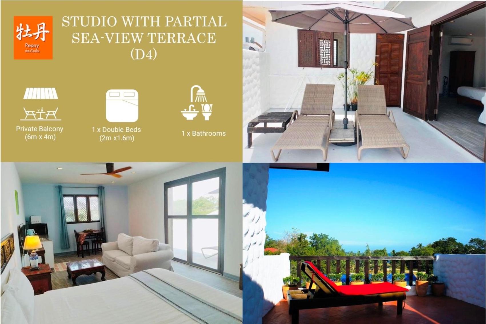 Studio with Terrace