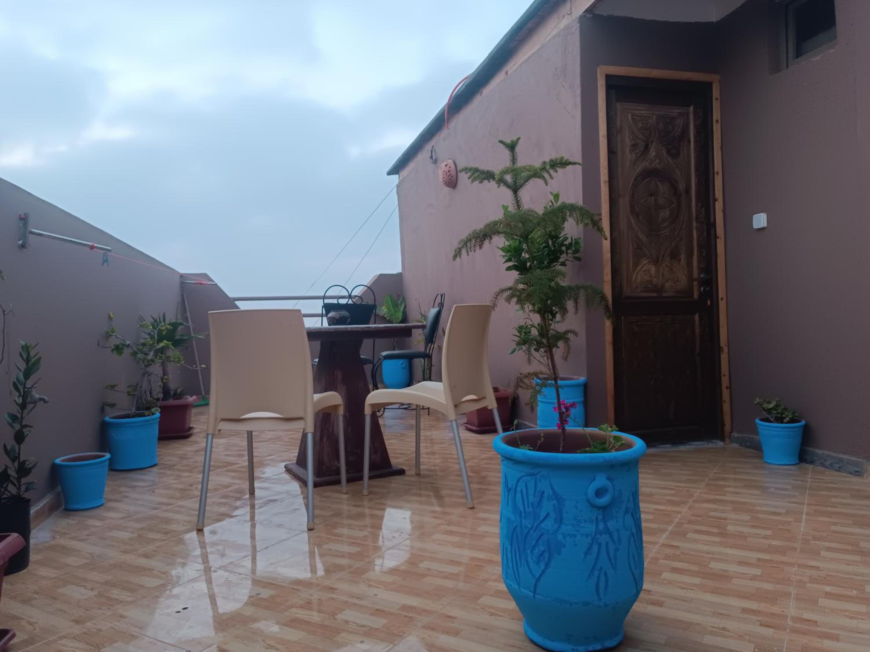 Studio with Ocean View photo 1