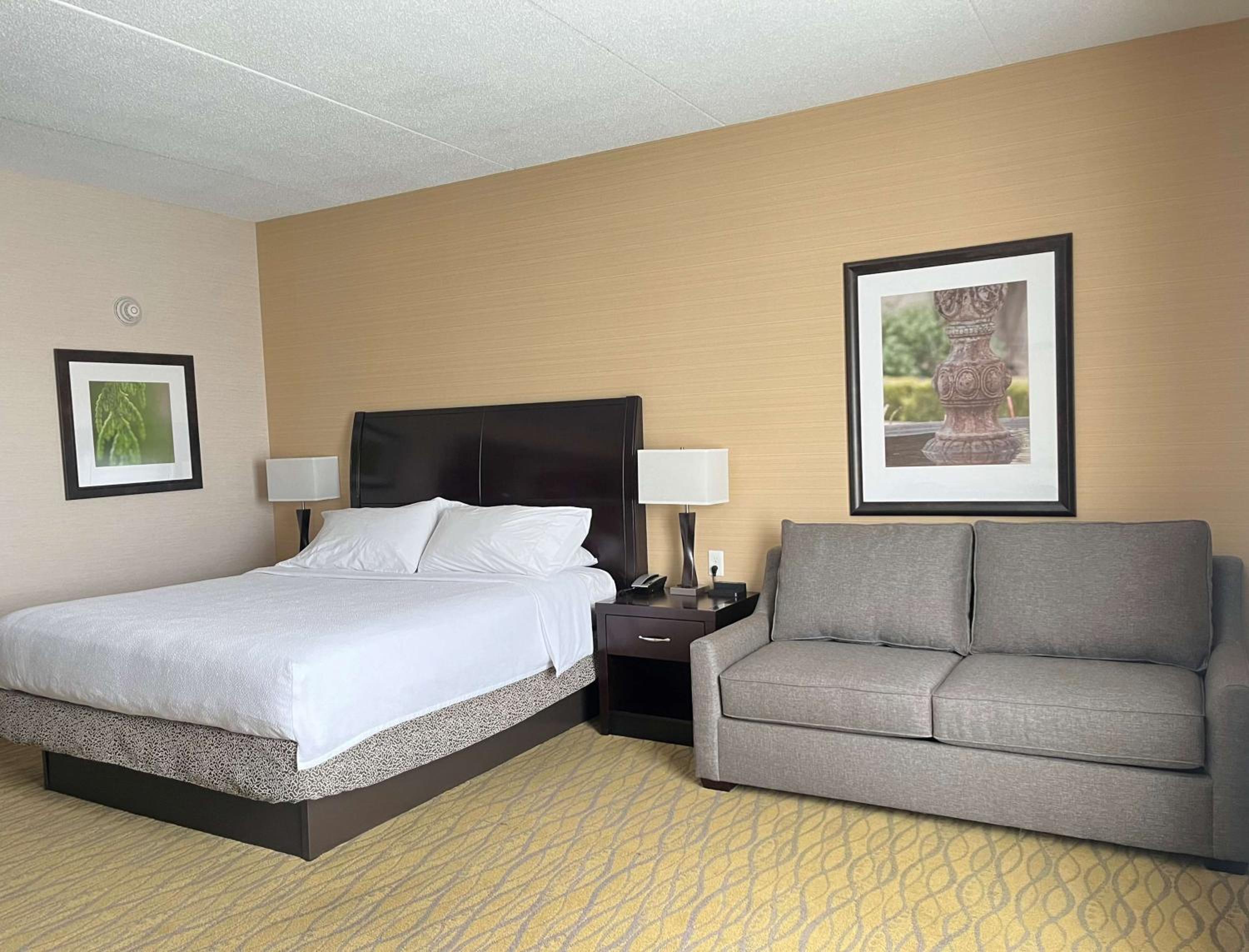 One-Bedroom King Room with Sofa Bed photo 2