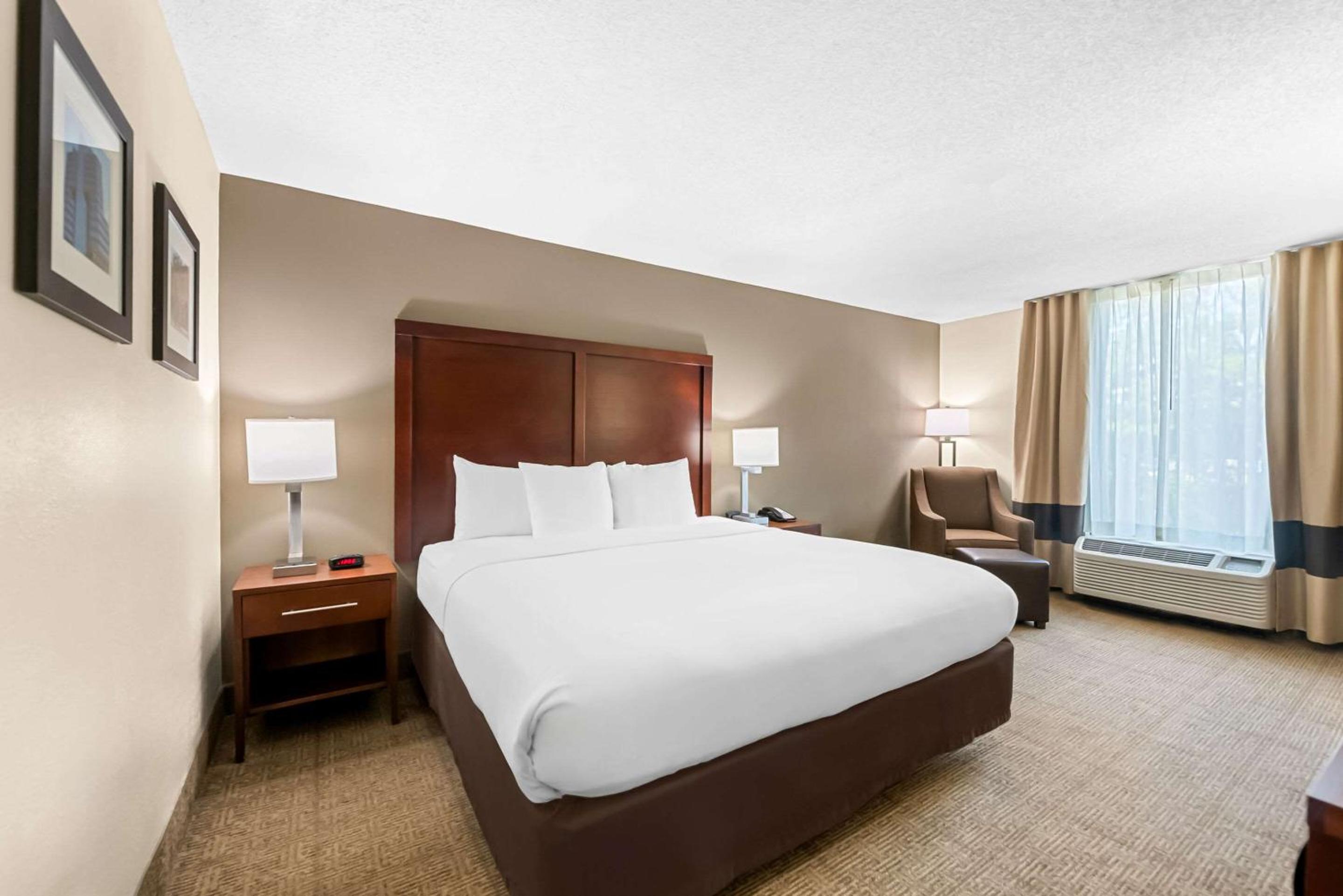 King Room - Non-Smoking - Photo 6