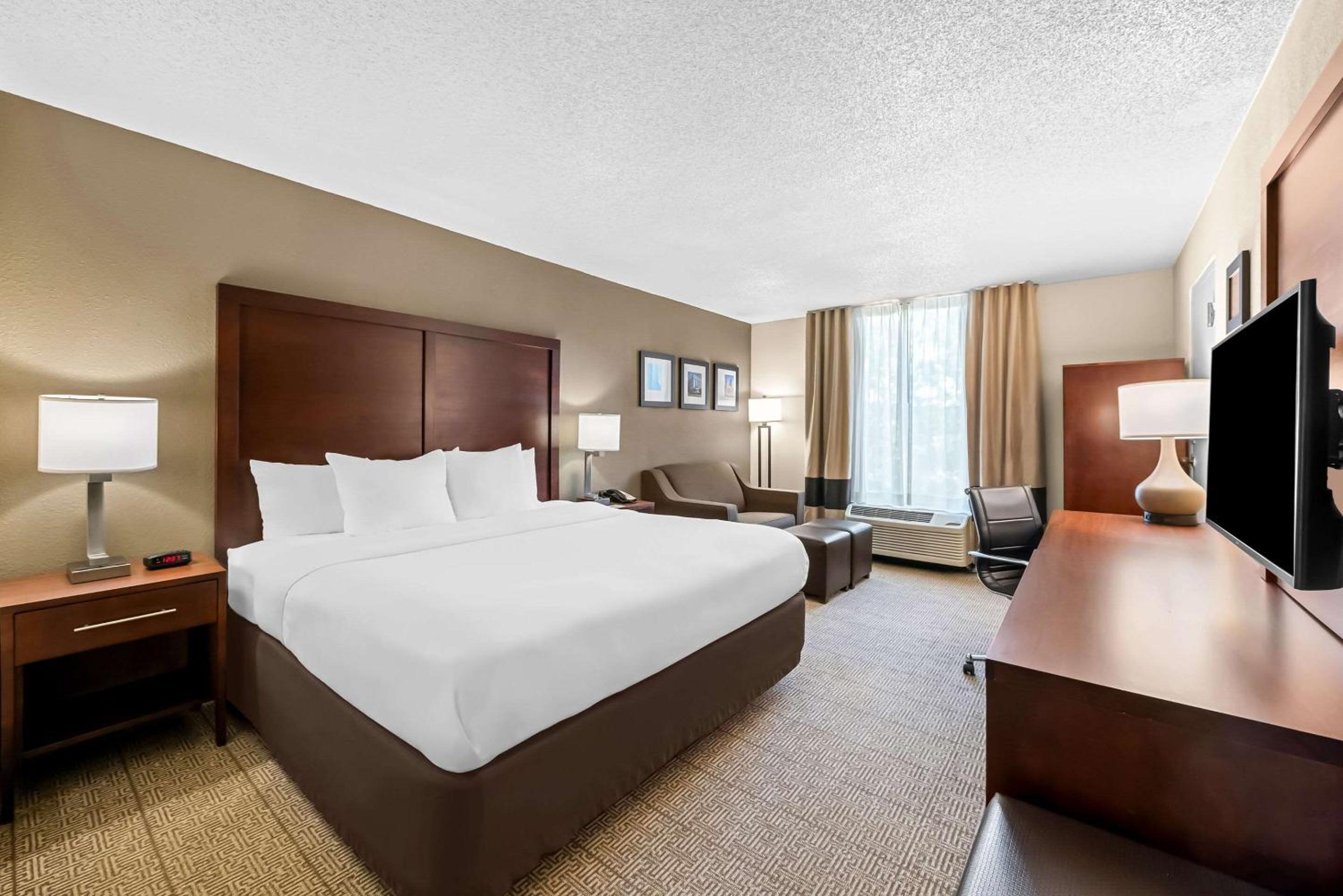 One-Bedroom King Suite with Sofa Bed - Non-Smoking - Photo 1