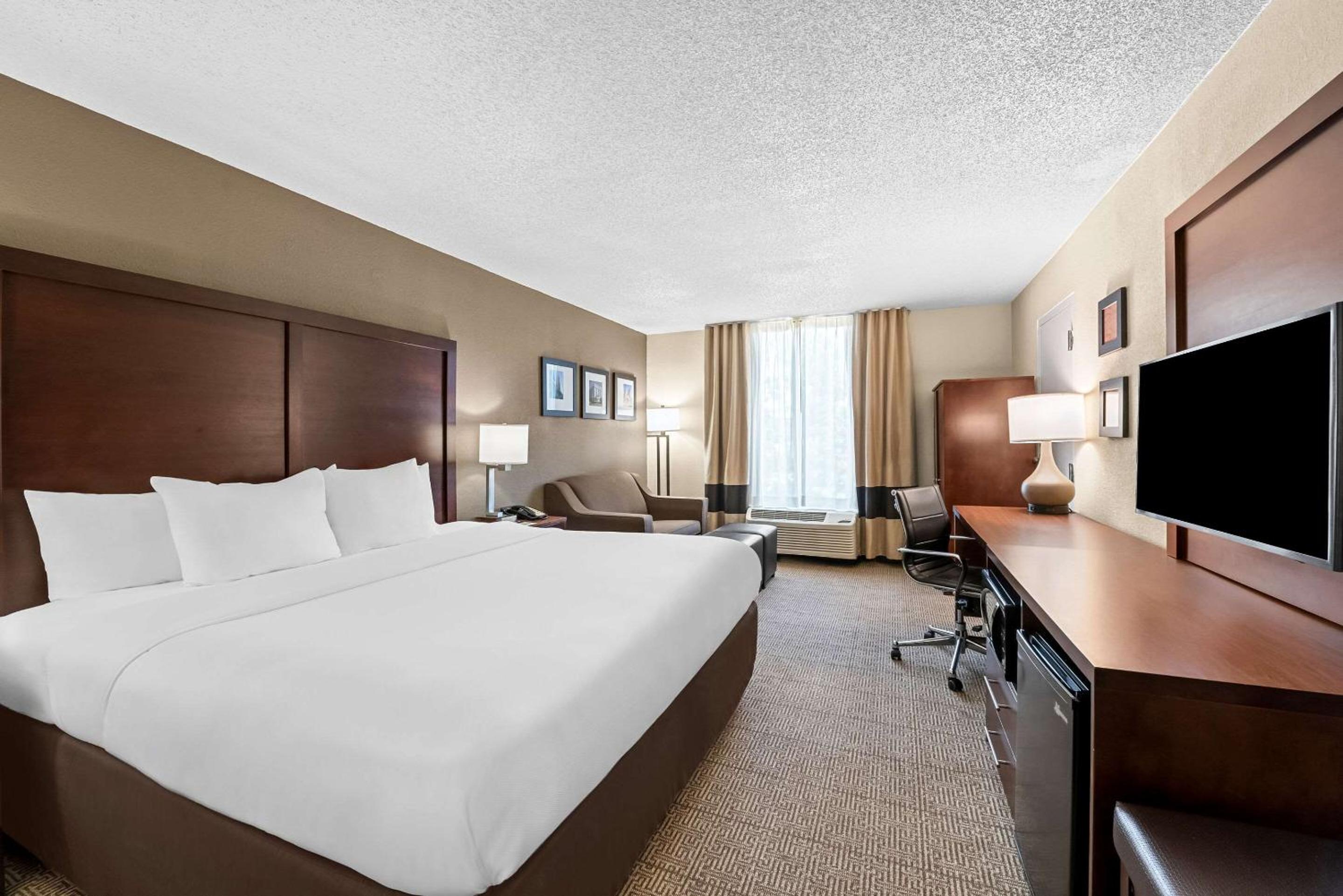 One-Bedroom King Suite with Sofa Bed - Non-Smoking - Photo 4
