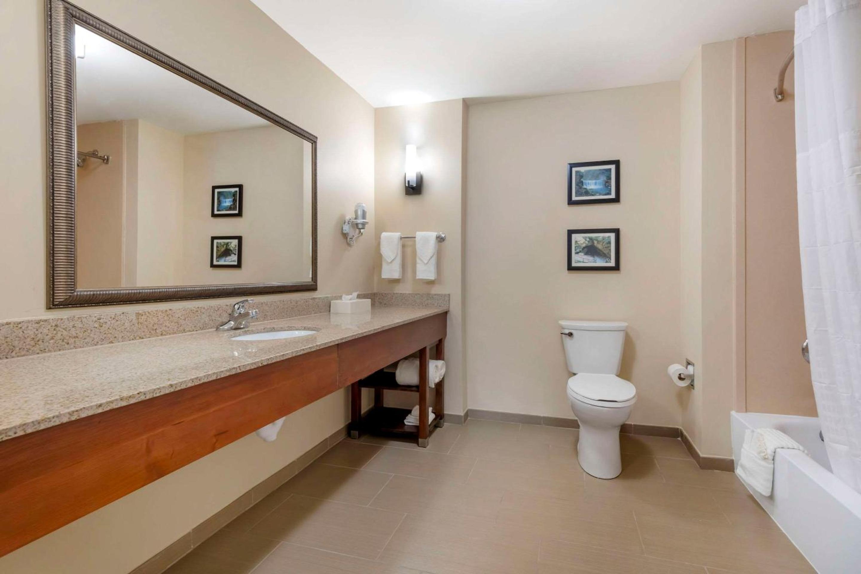 King Suite photo 2
