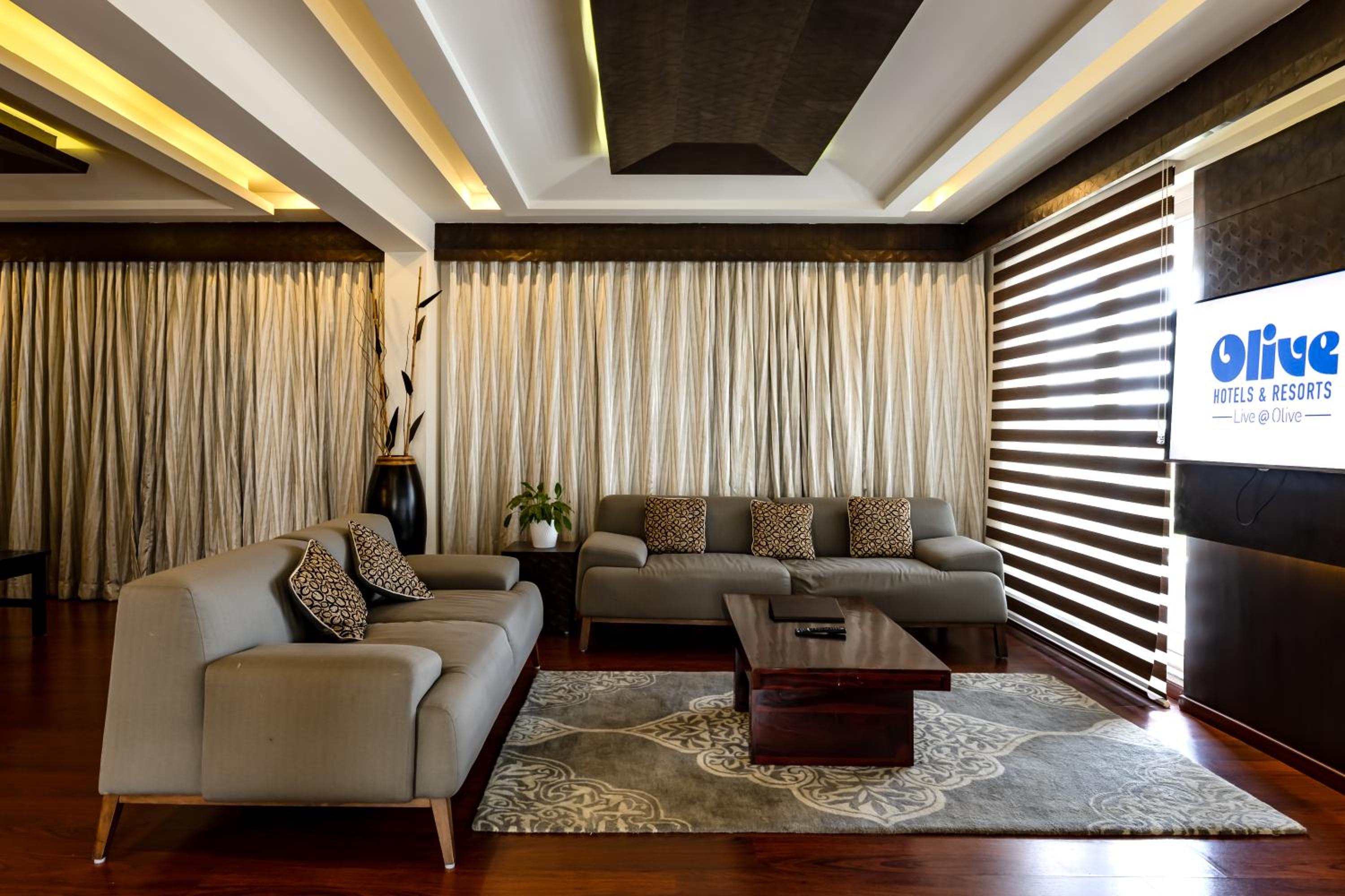 Olive Legacy Suite