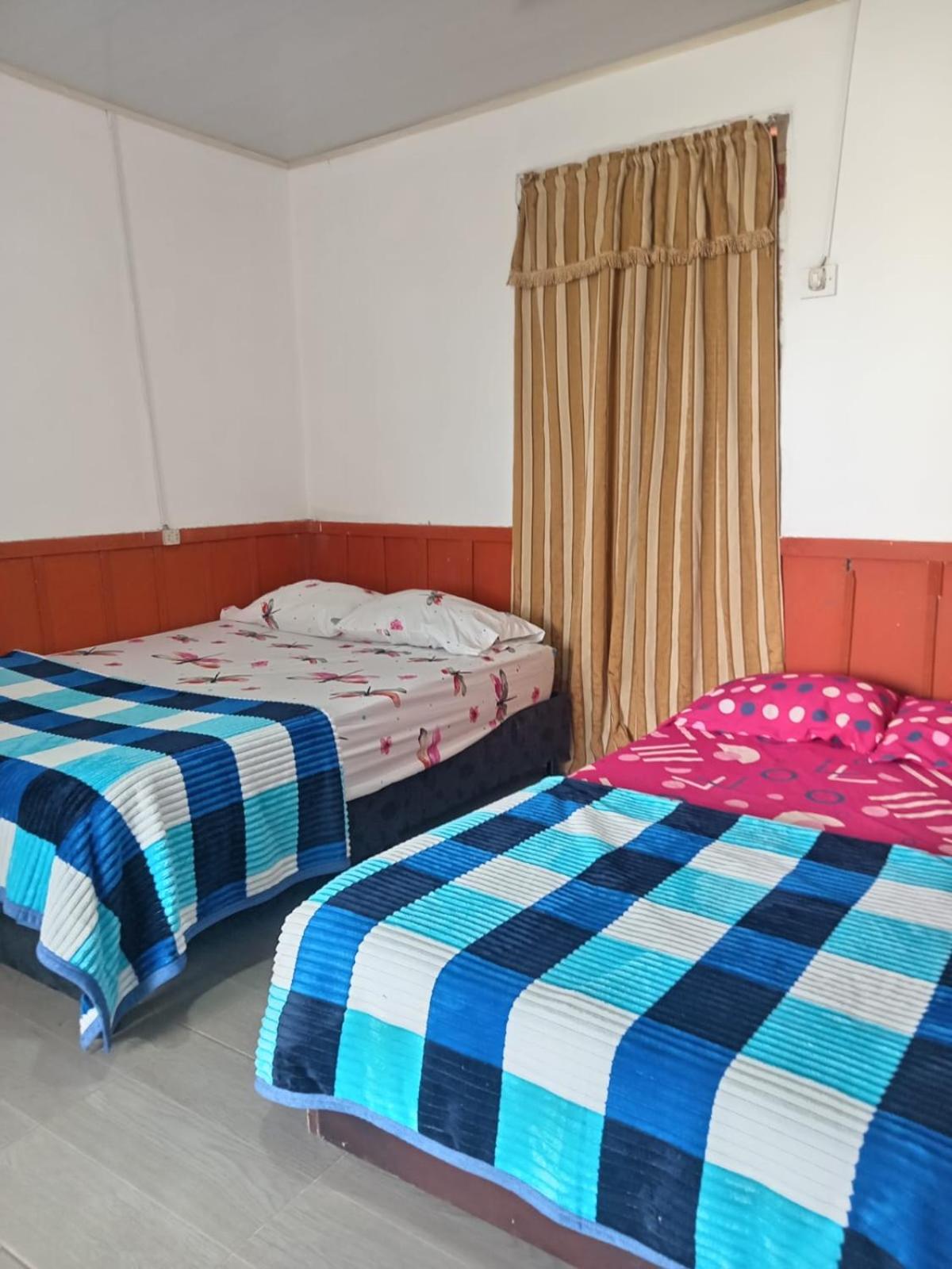 Twin Room photo 2